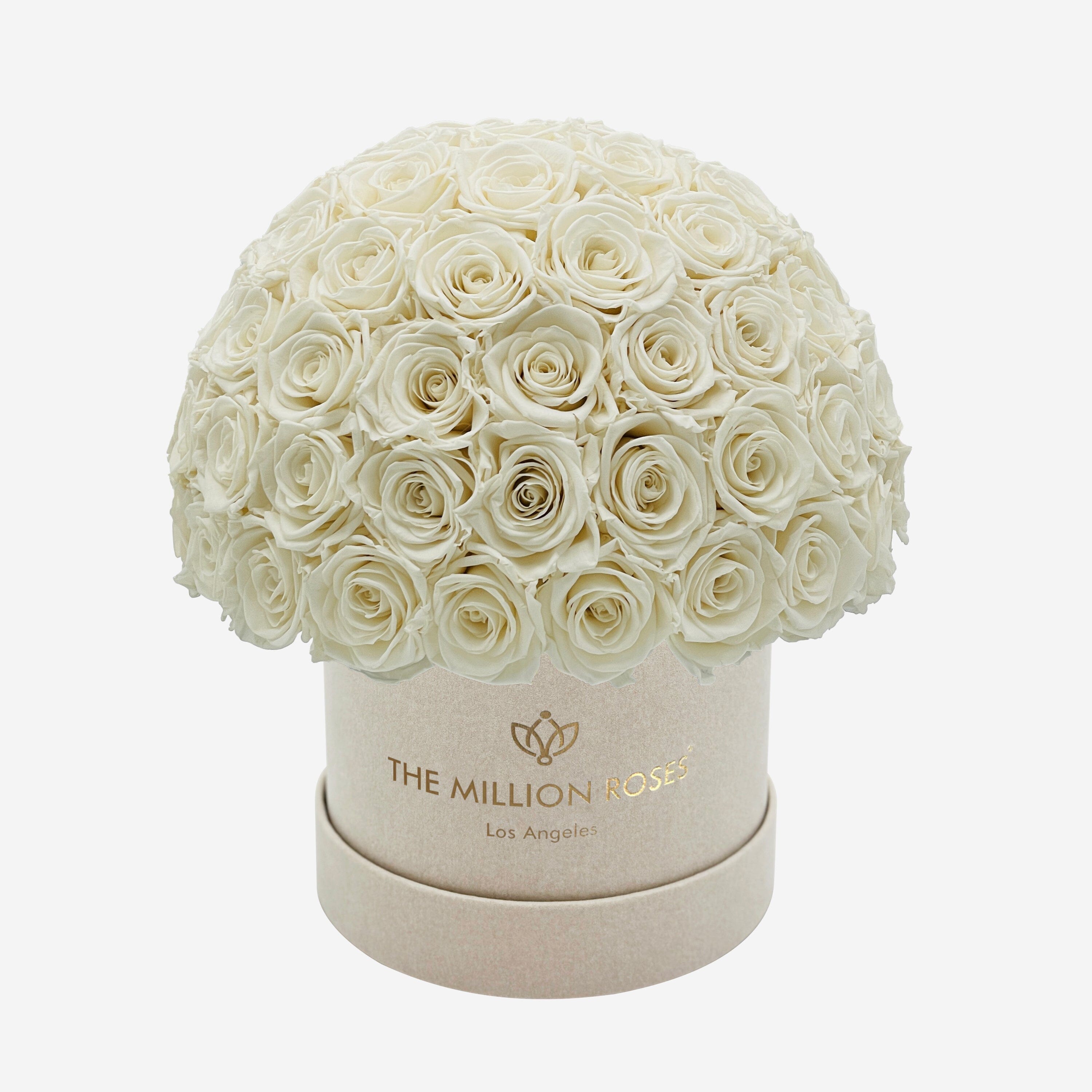 Classic Beige Suede Superdome Box | White Roses