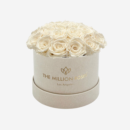 Classic Beige Suede Dome Box | Ivory Roses