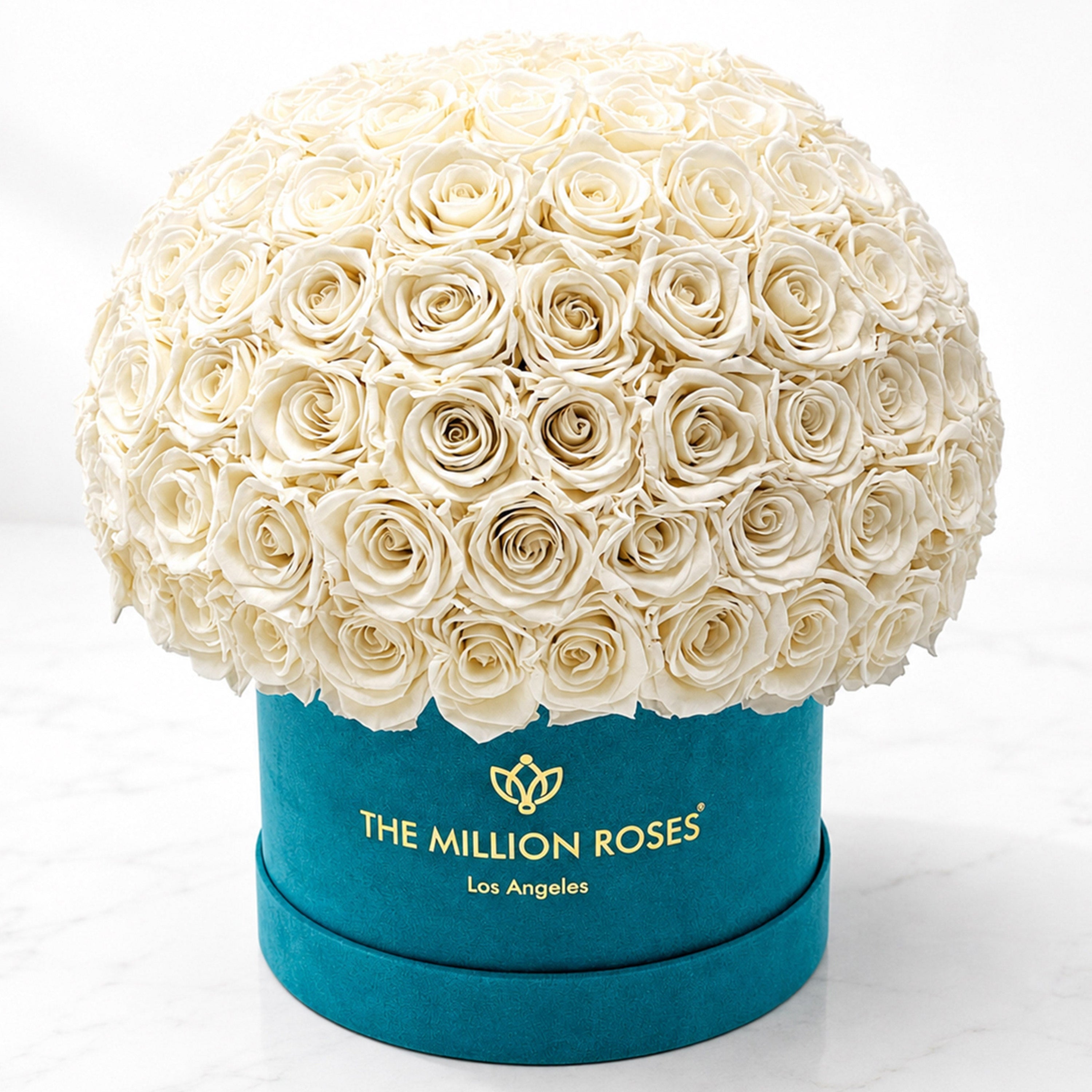 Supreme Dark Green Suede Superdome Box | White Roses