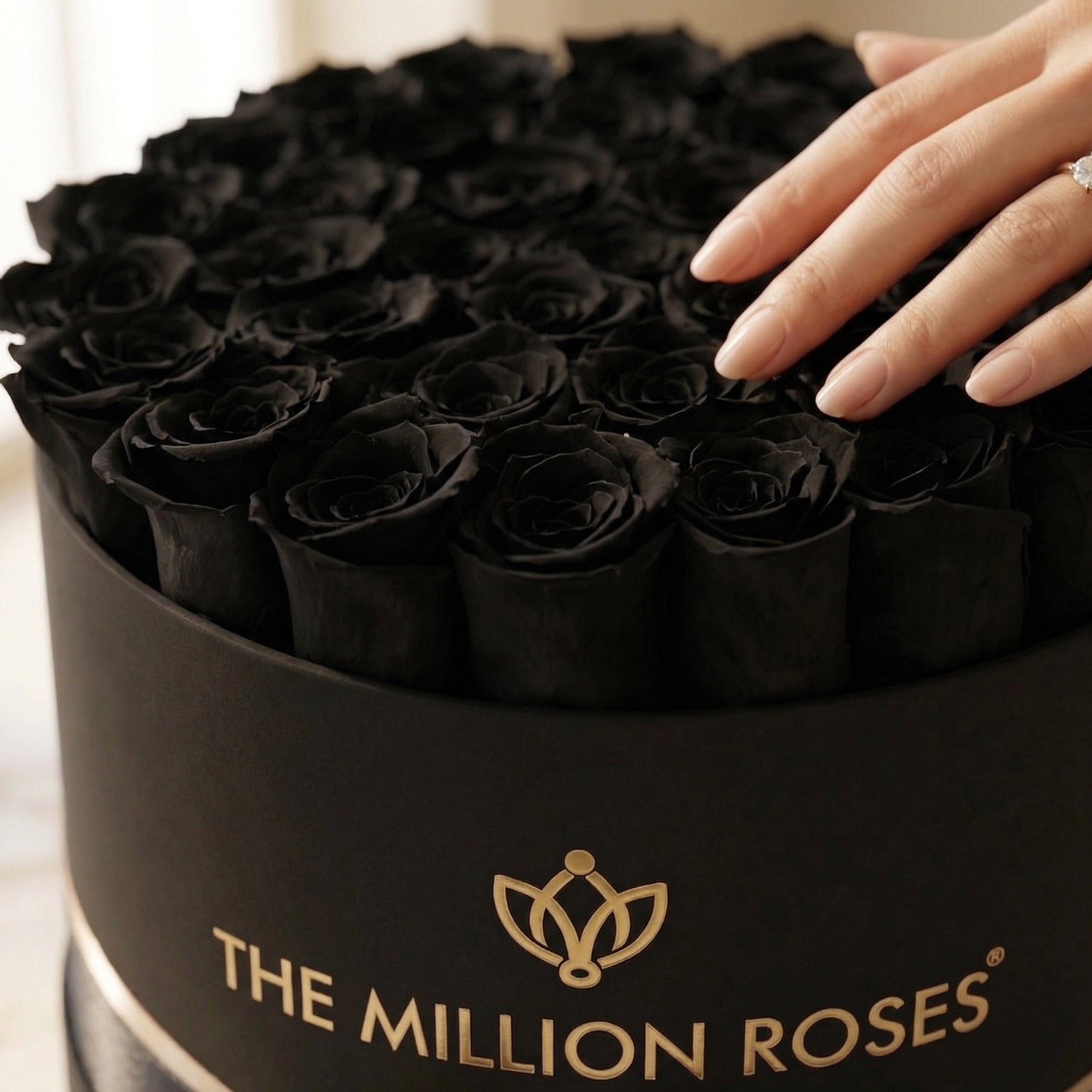 Supreme Black Box | Black Roses