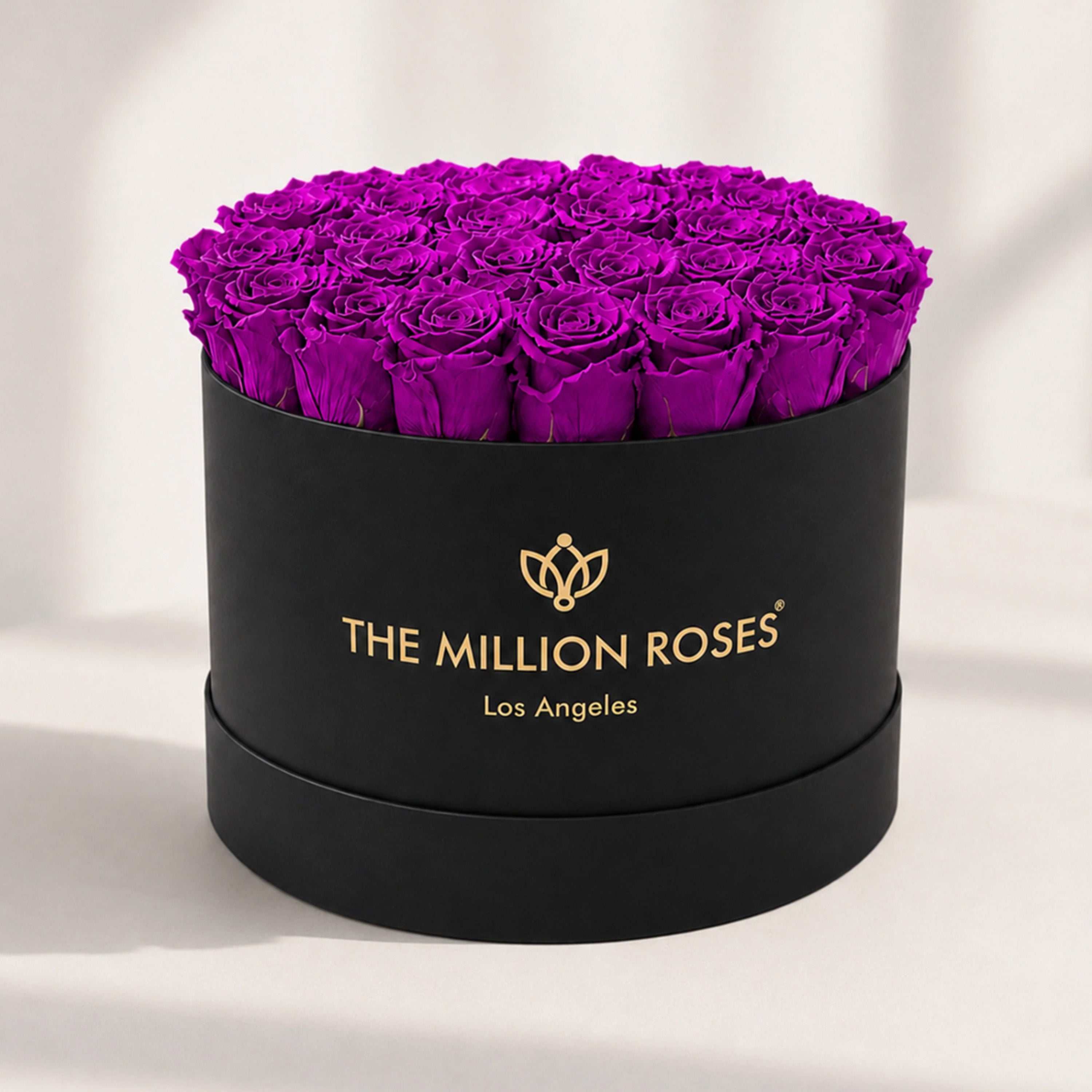 Supreme Black Box | Bright Purple Roses