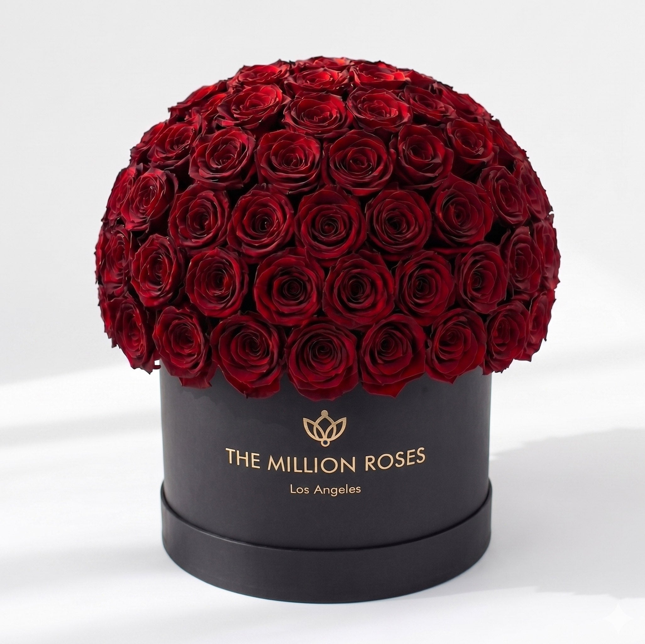 Supreme Black Superdome Box | Burgundy Roses