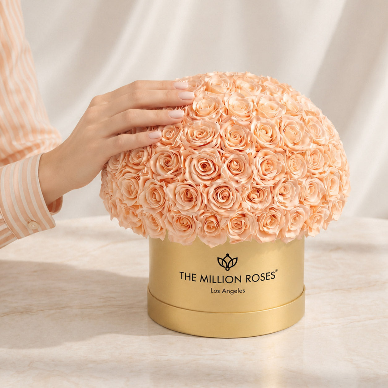 Supreme Gold Superdome Box | Peach Roses