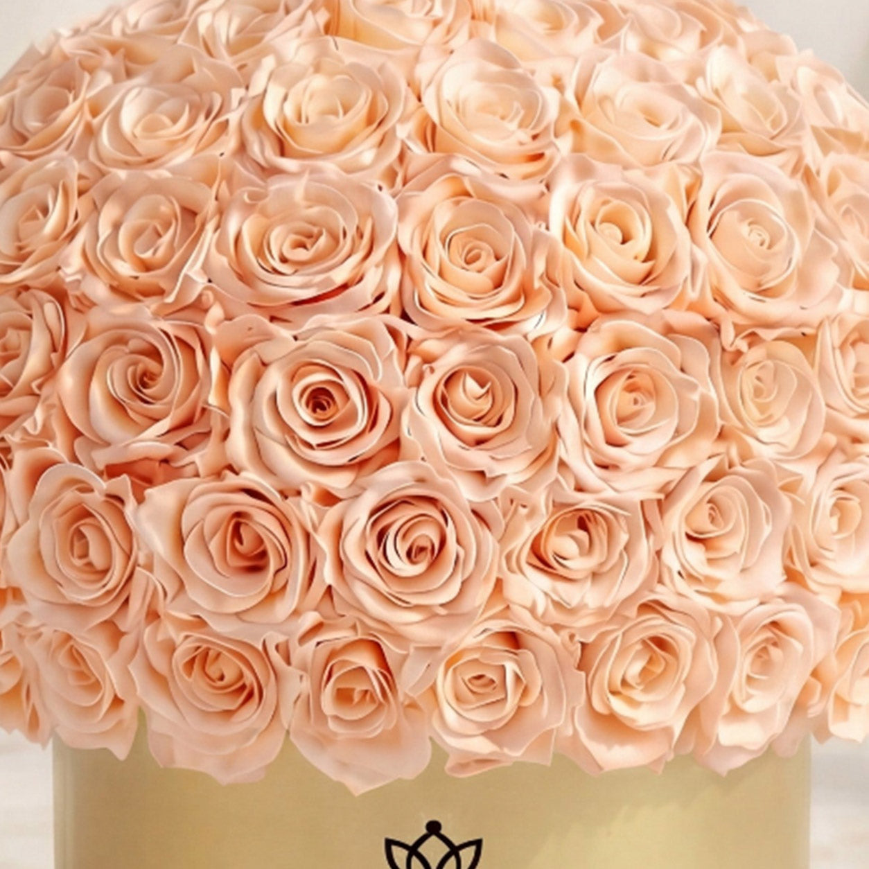 Supreme Gold Superdome Box | Peach Roses