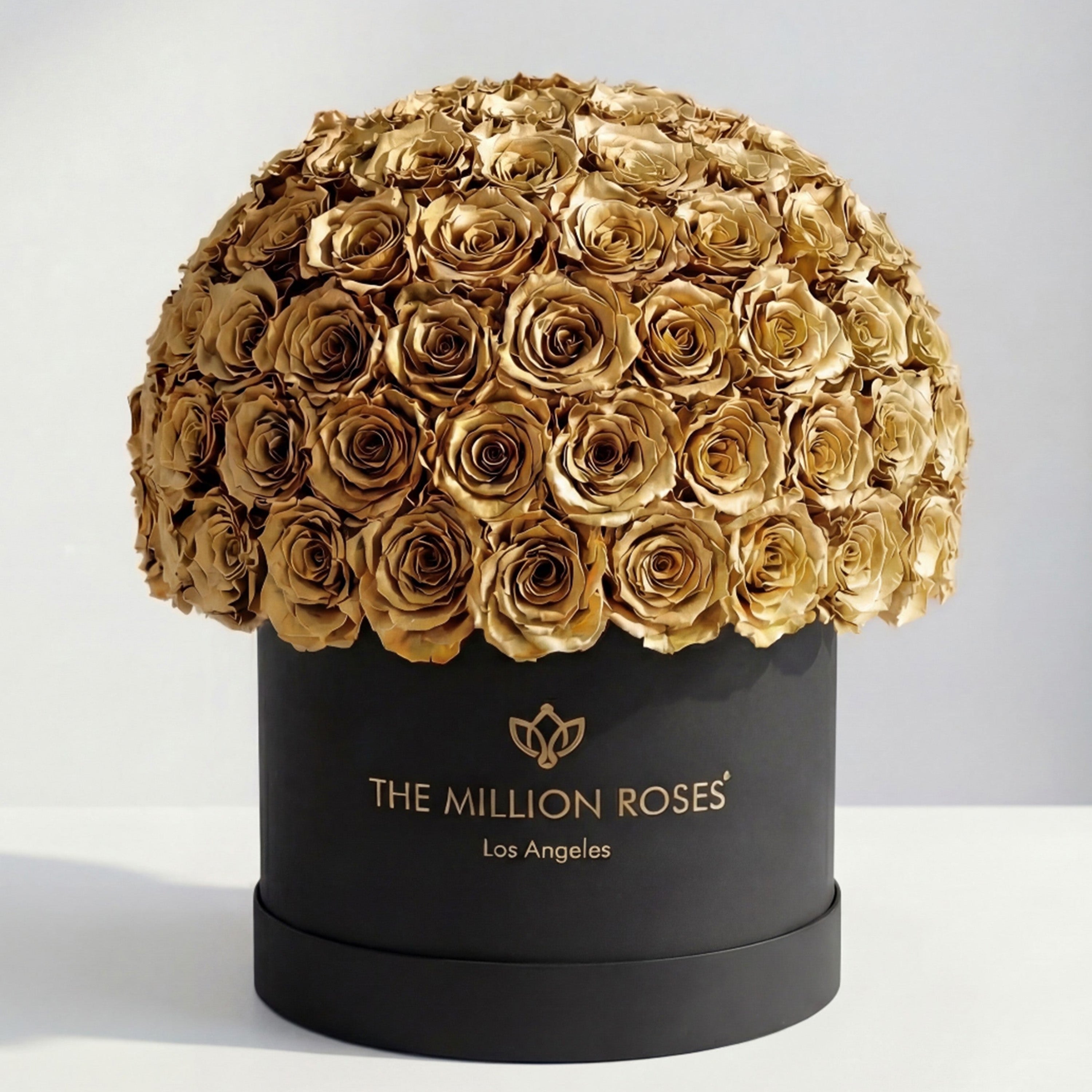 Supreme Black Superdome Box | Gold Roses
