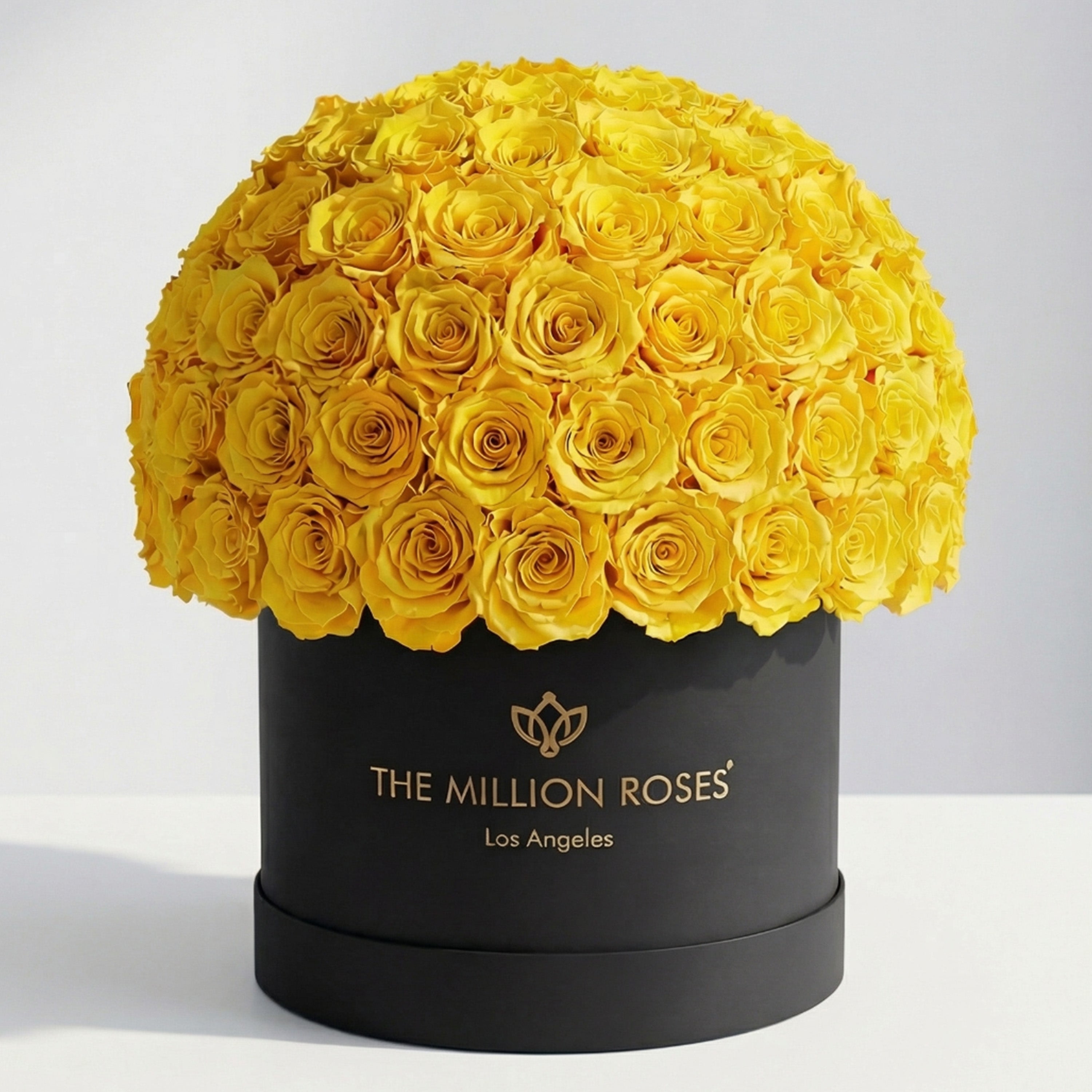 Supreme Black Superdome Box | Yellow Roses