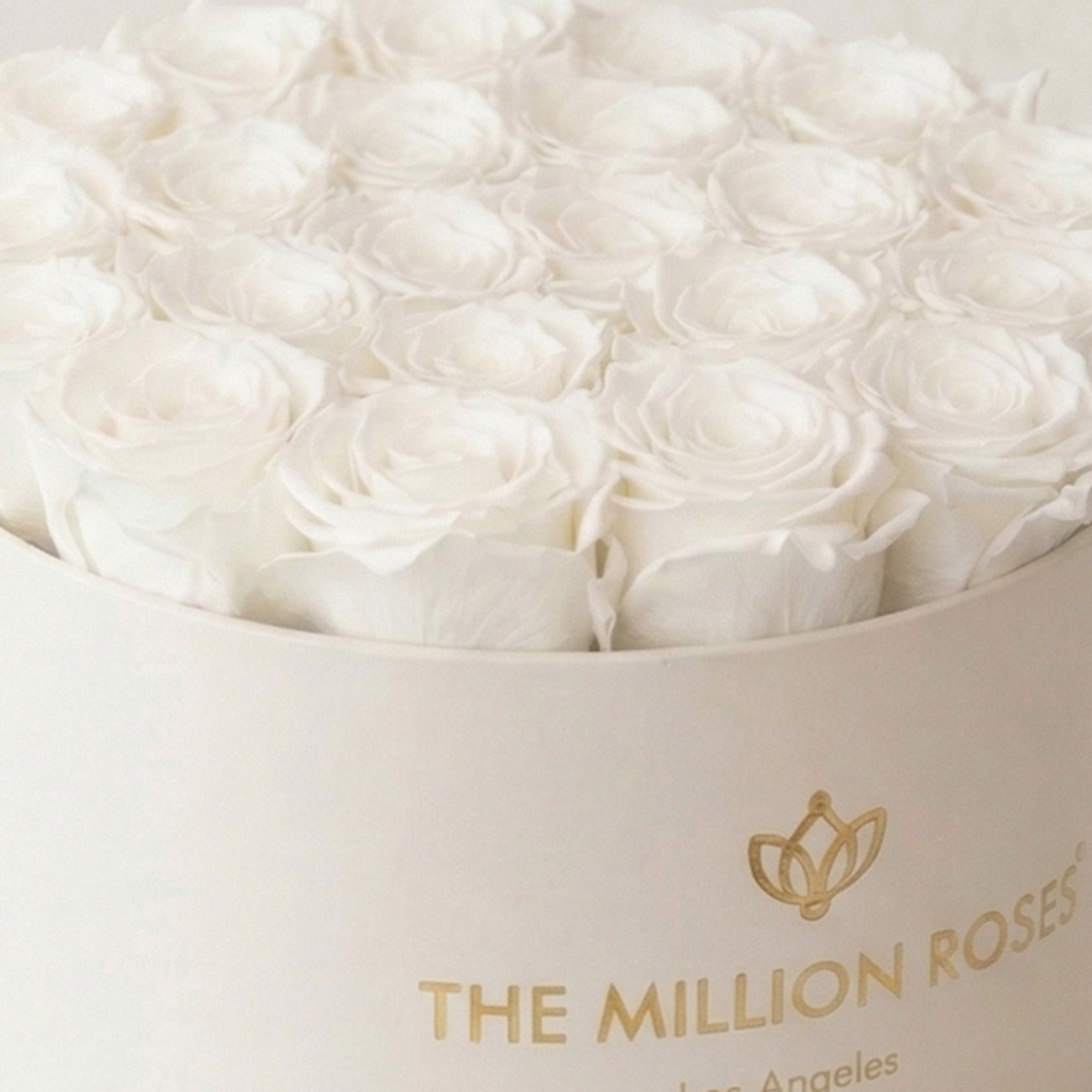 Supreme Beige Box | White Roses