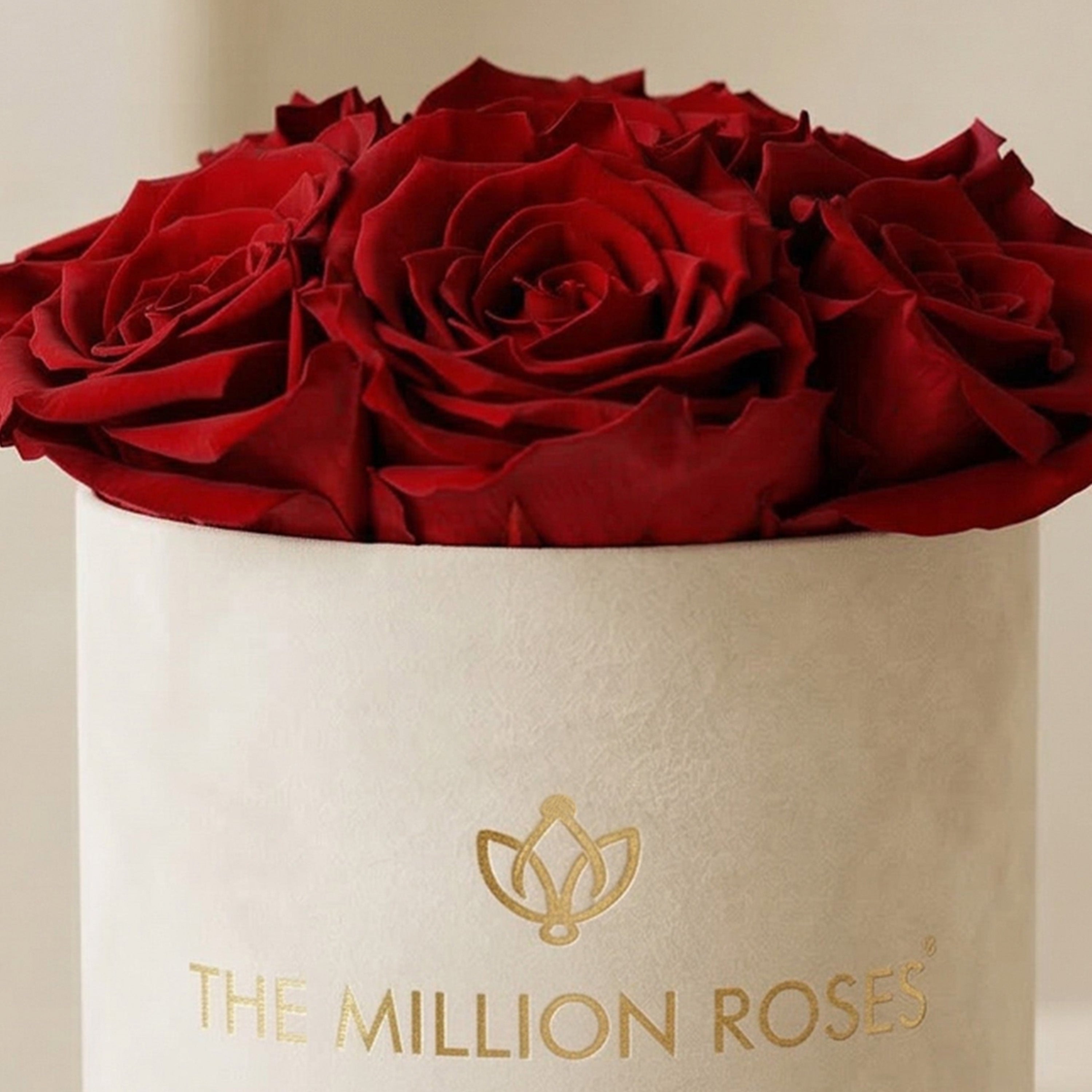 Basic Beige Suede Box | Red Roses