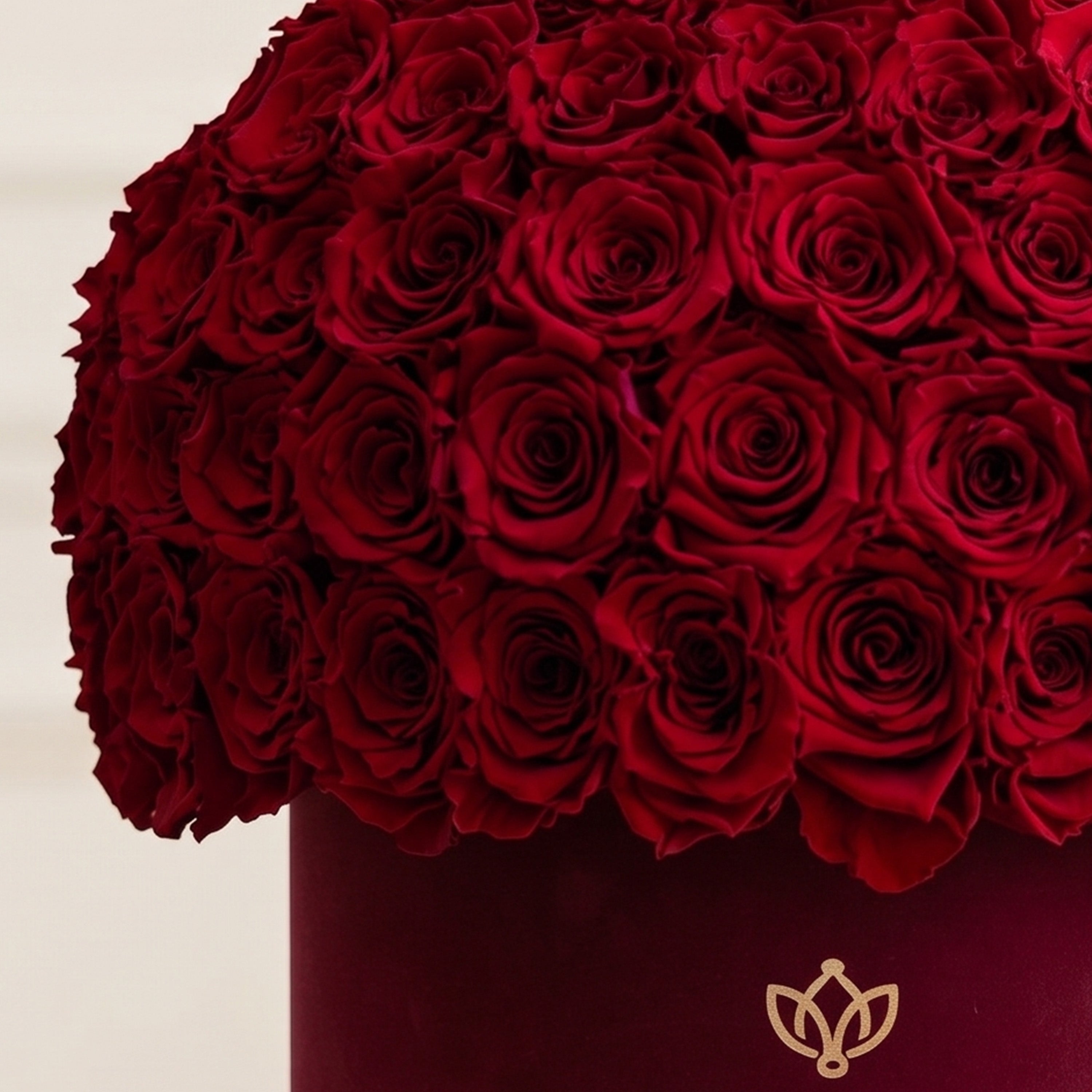 Classic Bordeaux Suede Superdome Box | Red Roses