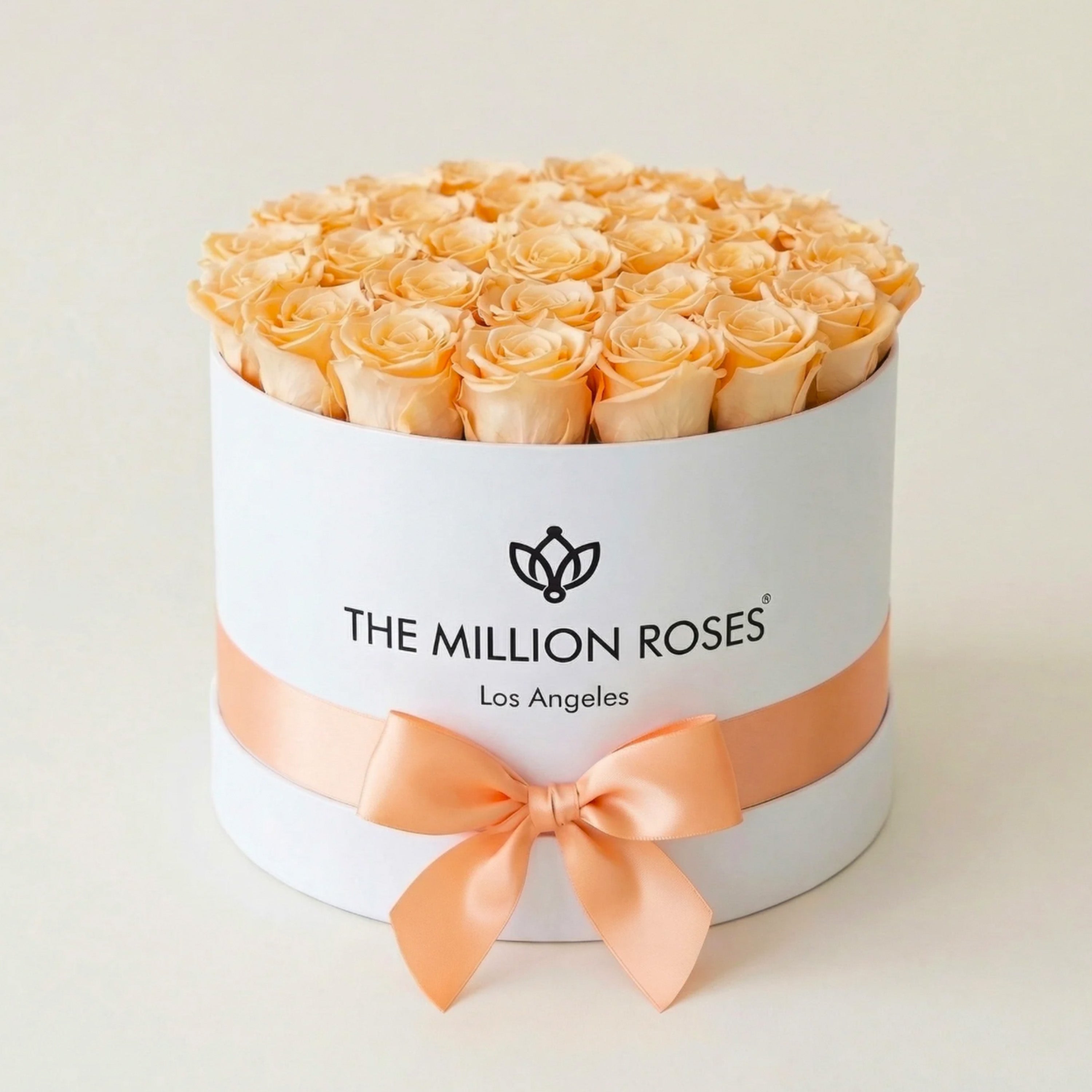 Supreme White Box | Peach Roses