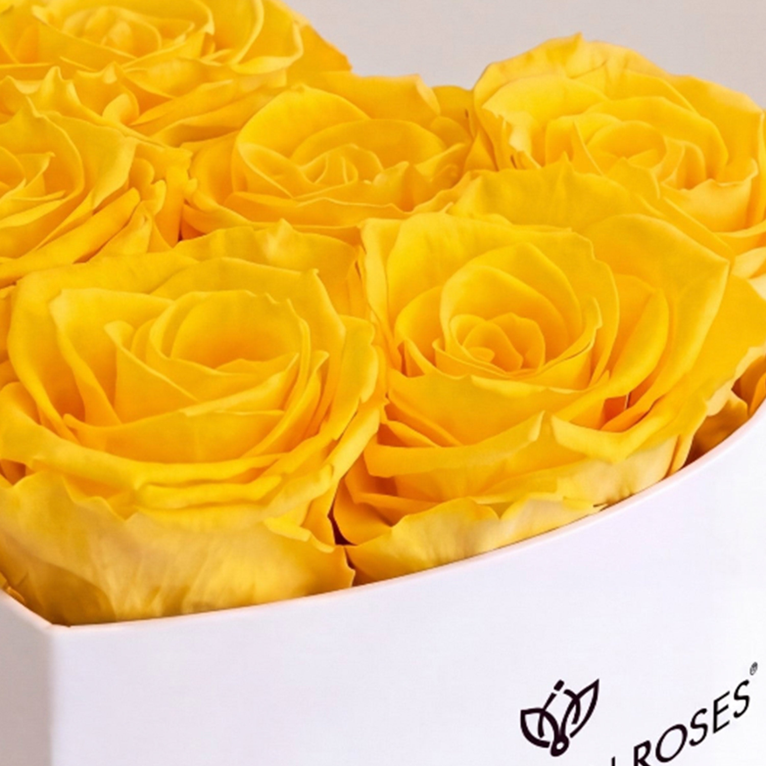 Baby Heart White Box | Yellow Roses