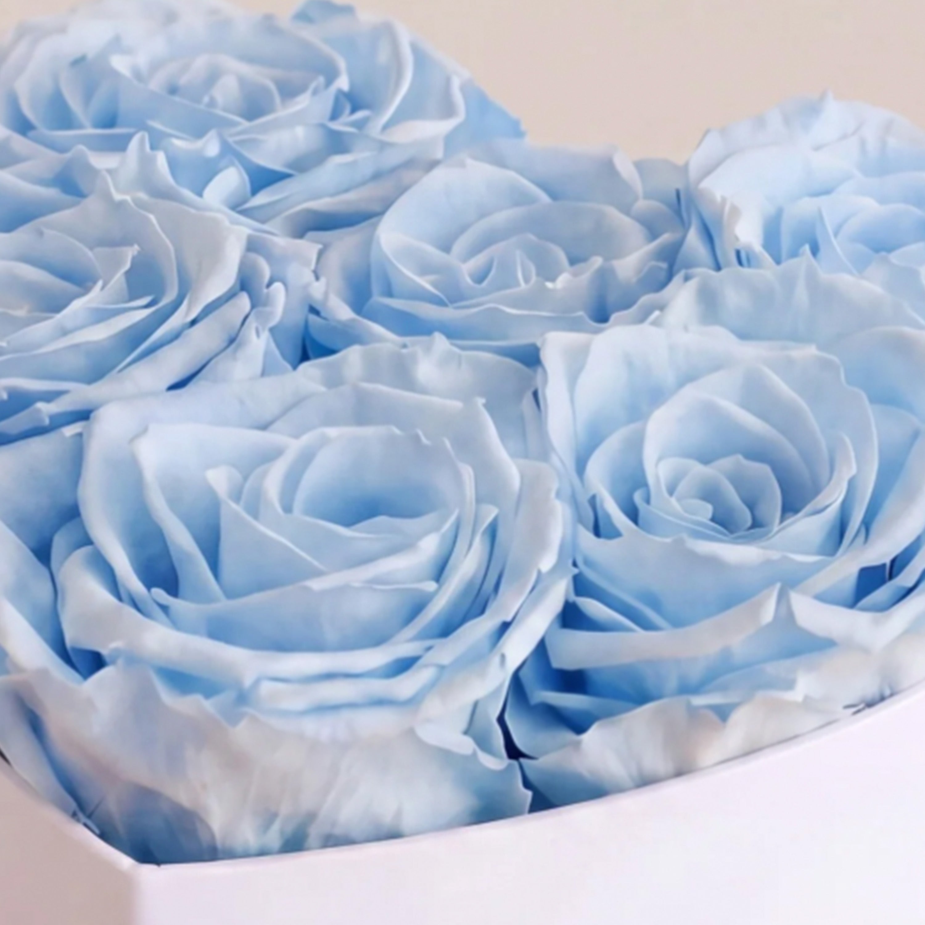 Baby Heart White Box | Light Blue Roses