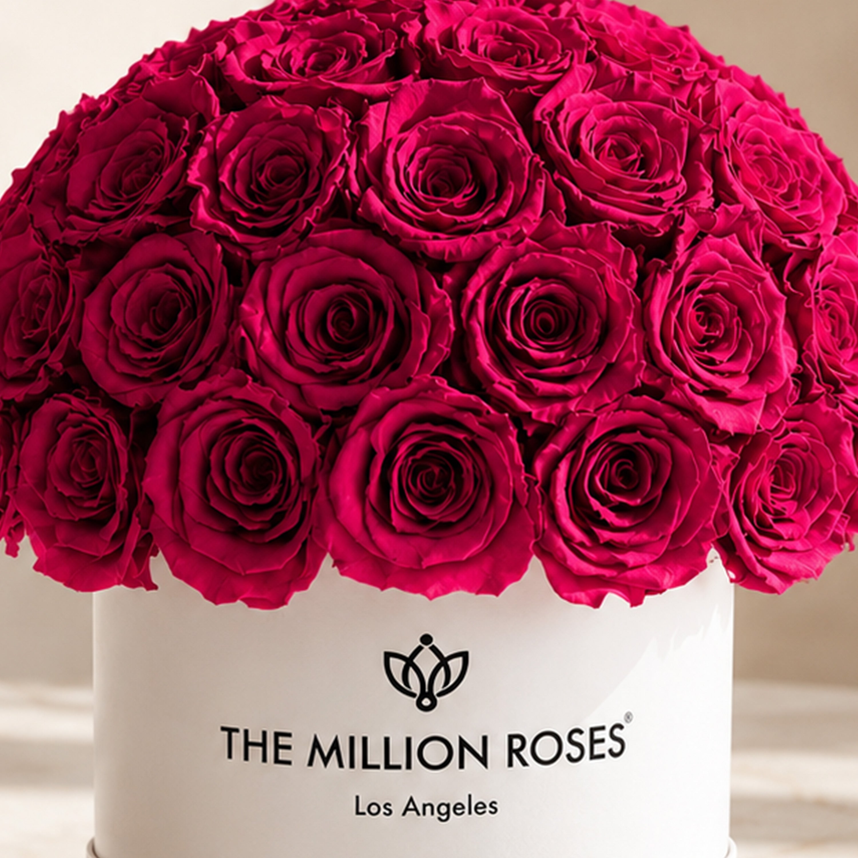 Classic White Superdome Box | Magenta Roses