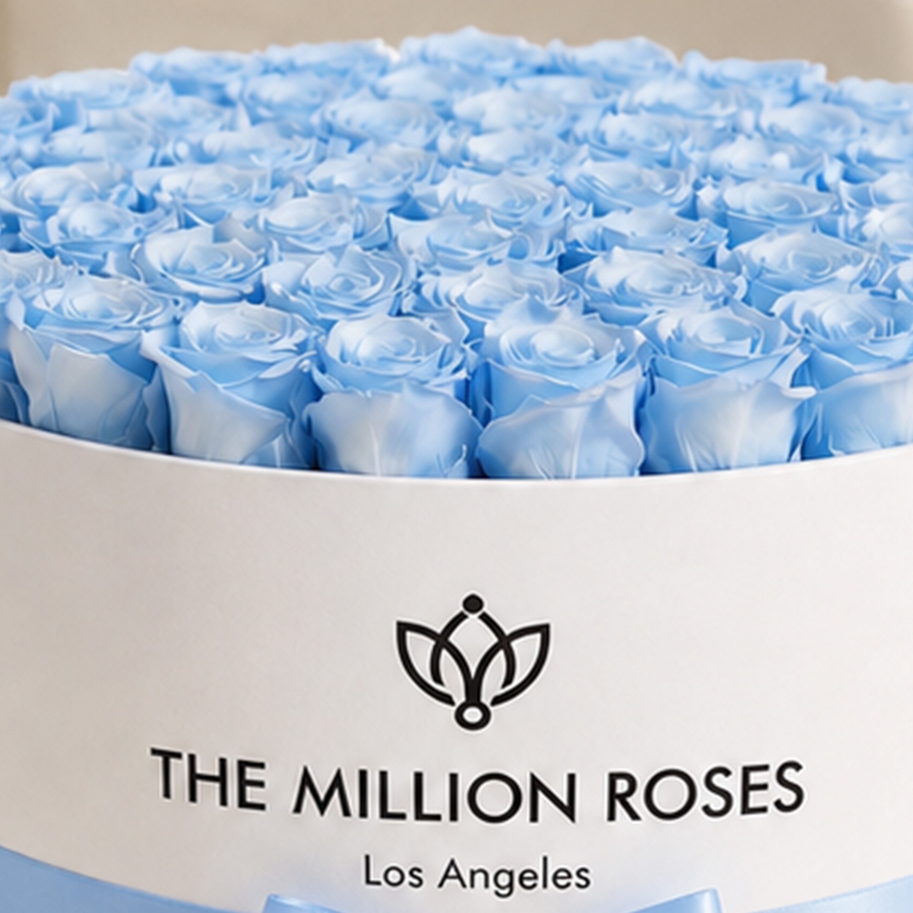 Deluxe White Box | Light Blue Roses