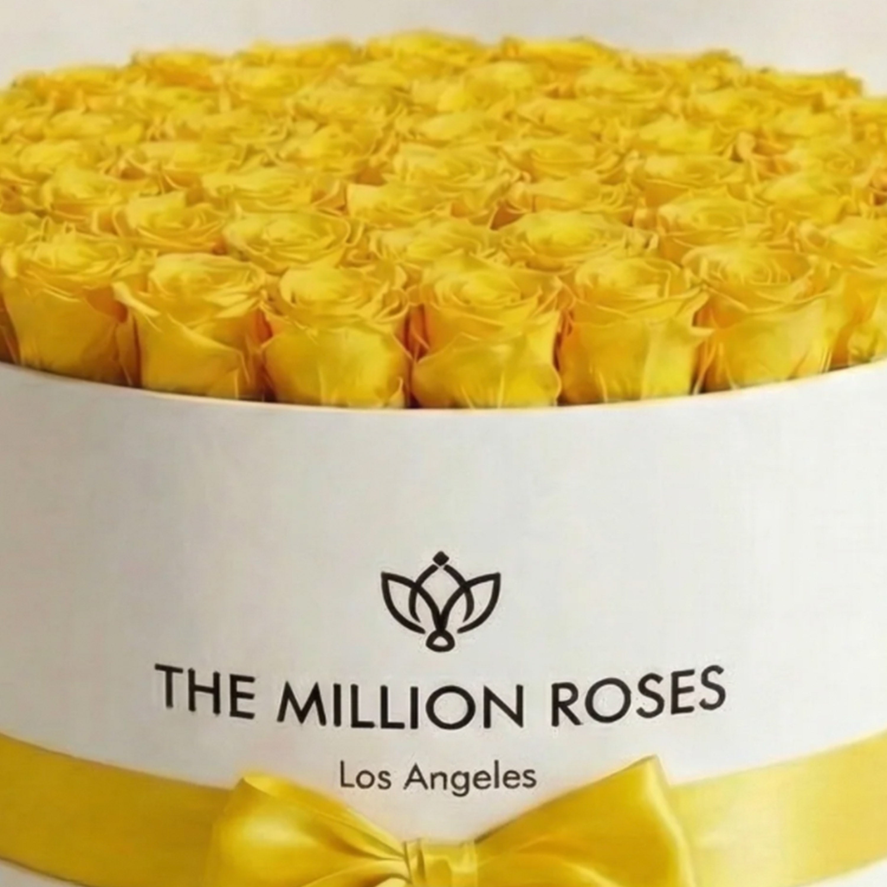 Deluxe White Box | Yellow Roses