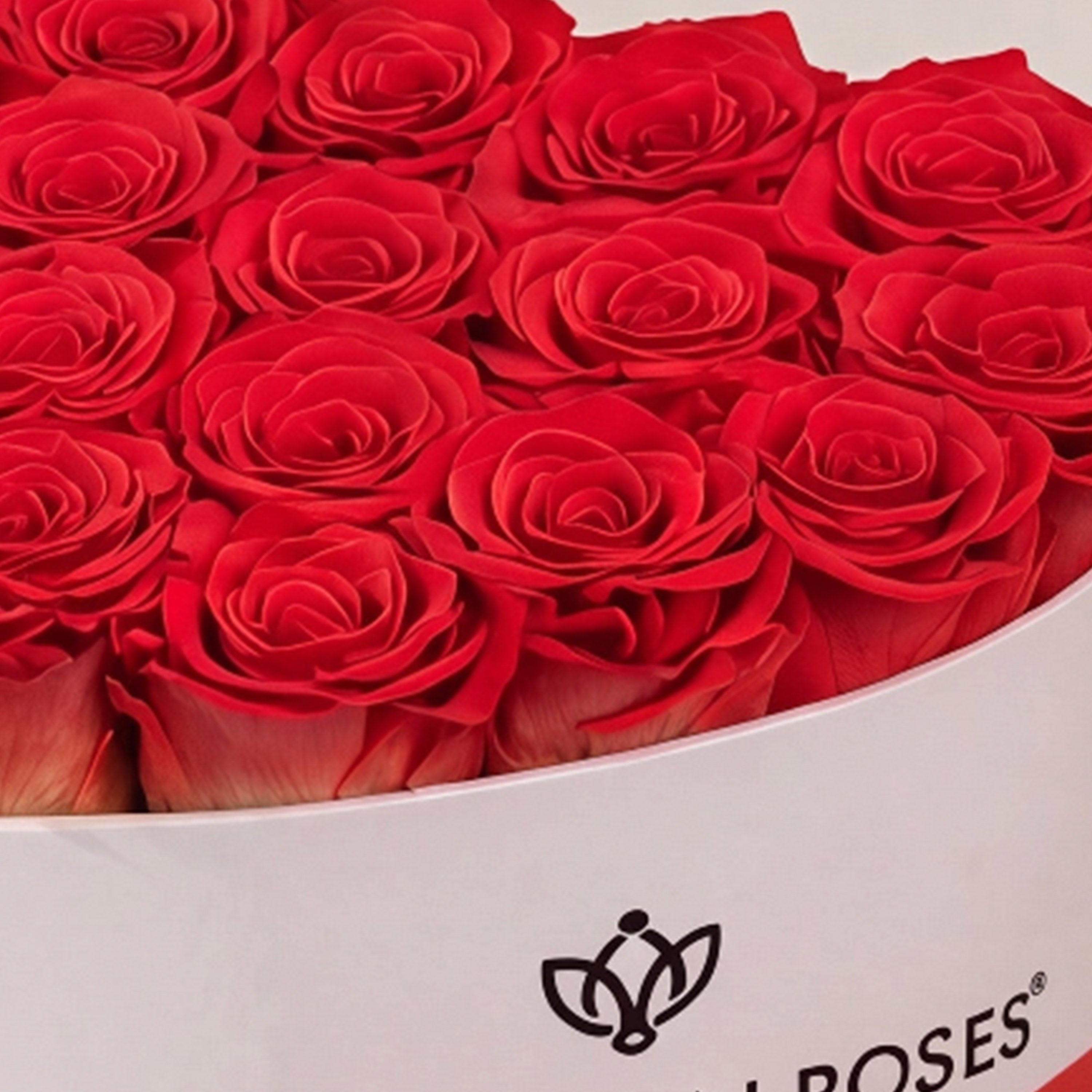 Heart White Box | Coral Roses
