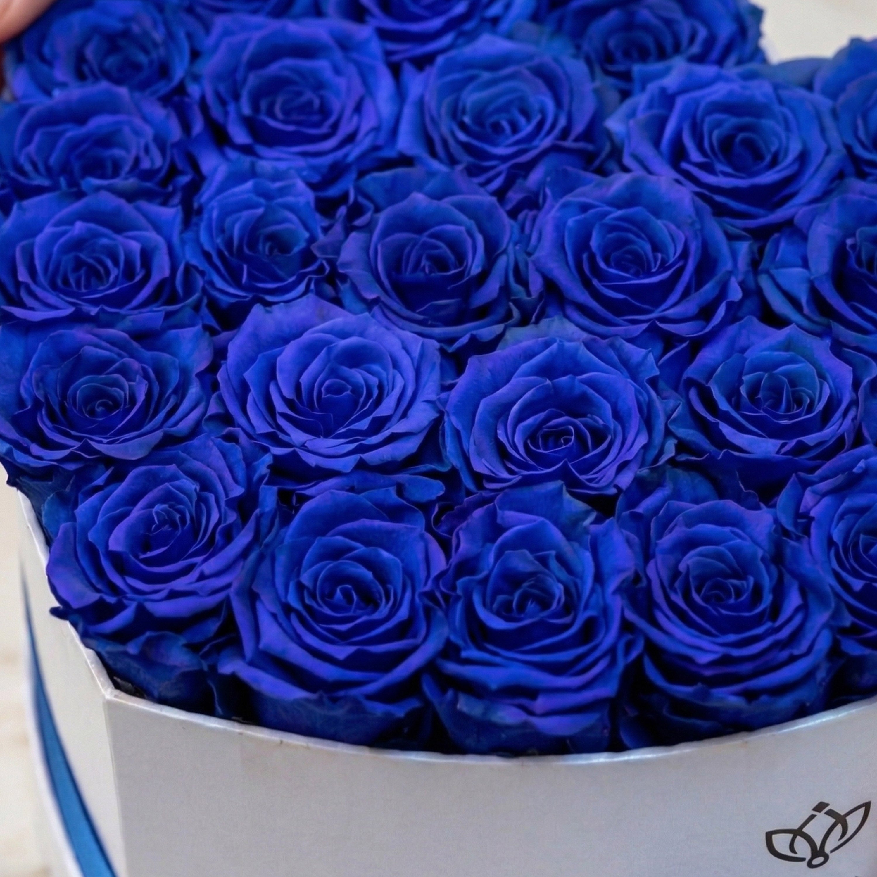 Heart White Box | Royal Blue Roses