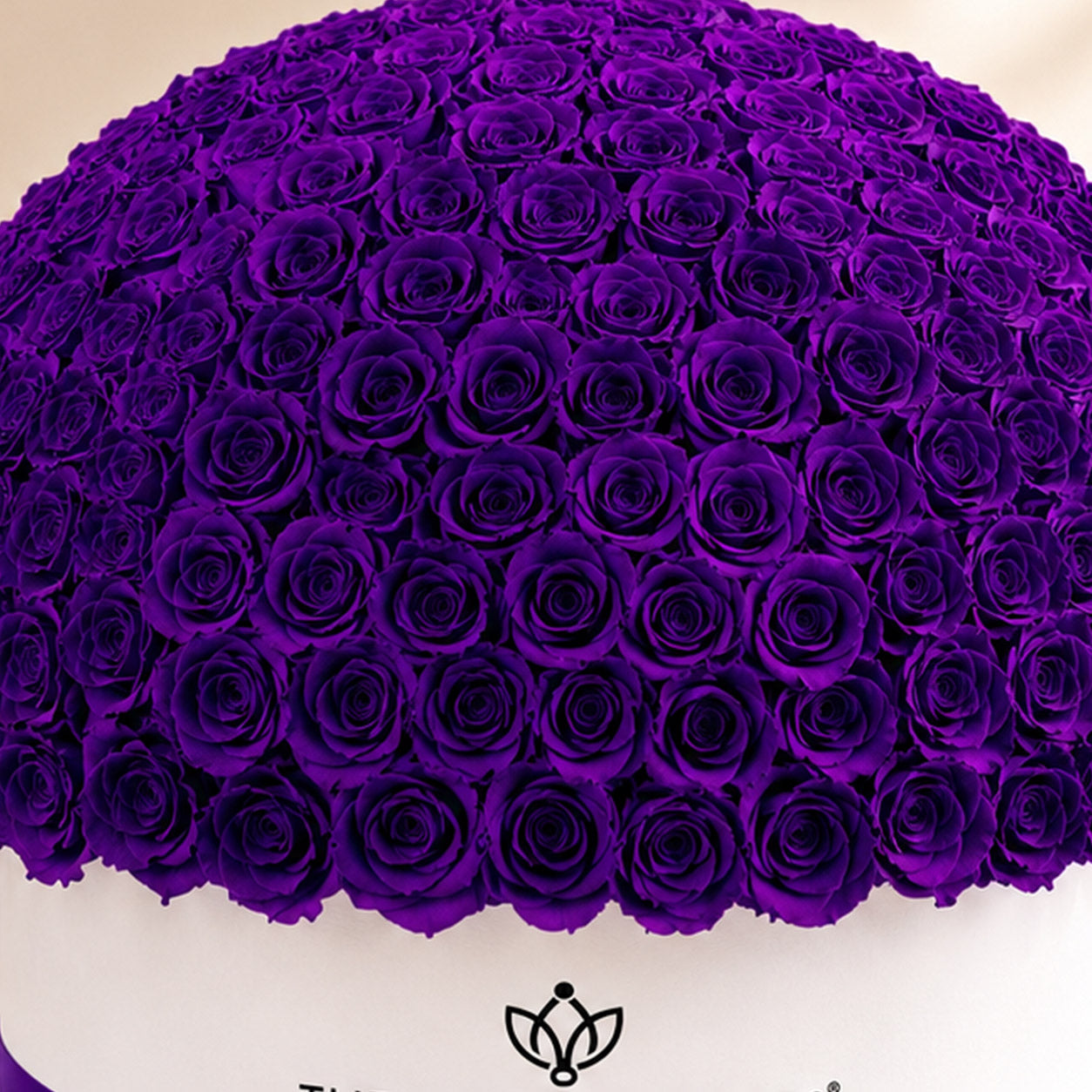 Deluxe White Dome Box | Bright Purple Roses