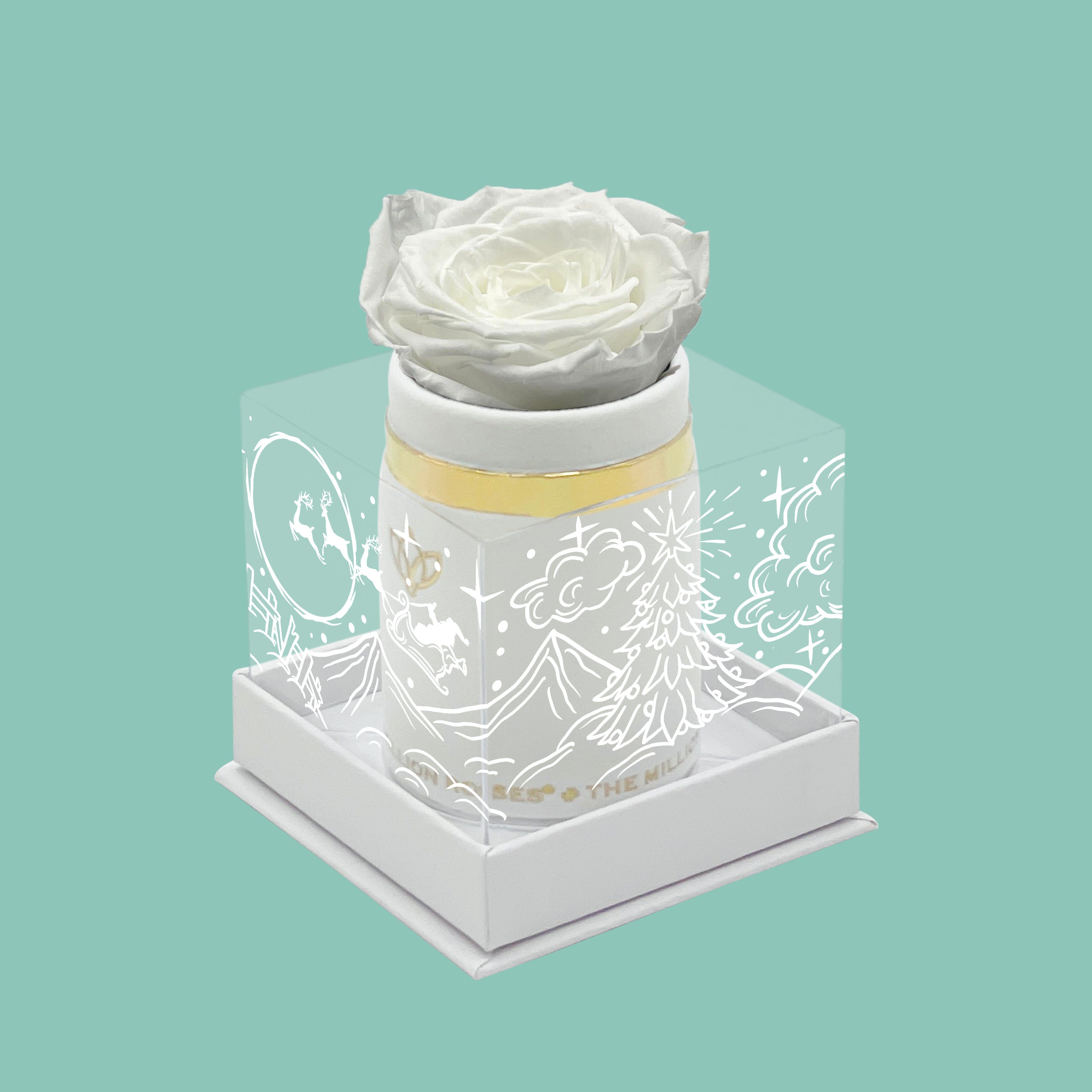 Scatola singola in pelle scamosciata bianca | Edizione Limitata per le Feste | Rosa Bianca