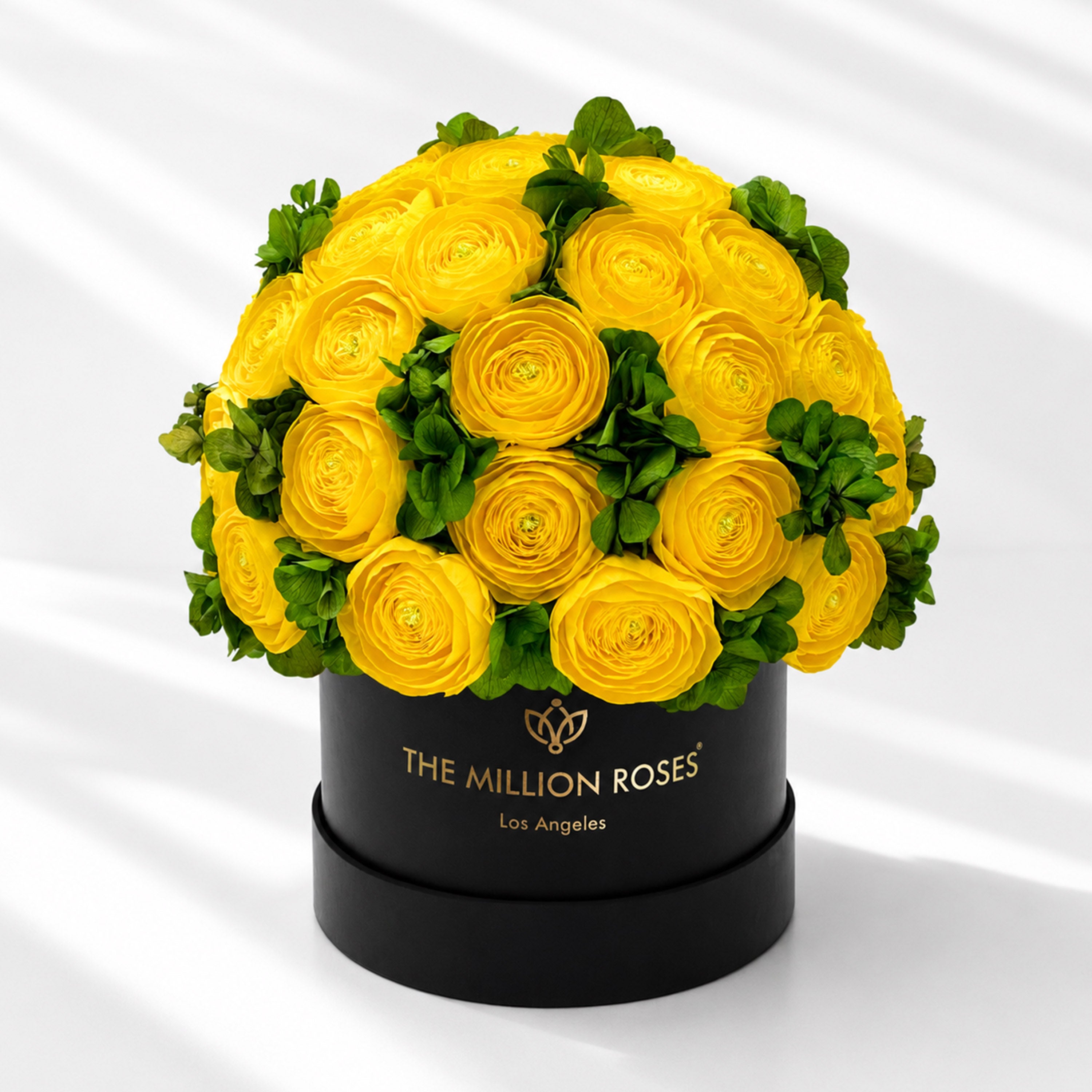 Classic Black Box | Yellow Persian Buttercups & Green Hydrangeas