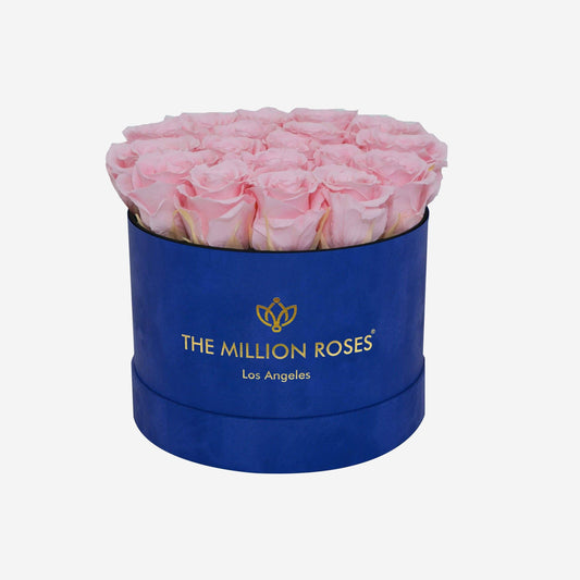 Classic Royal Blue Suede Box | Light Pink Roses - The Million Roses