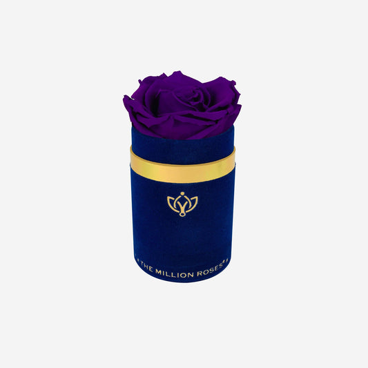 Single Royal Blue Suede Box | Bright Purple Rose - The Million Roses