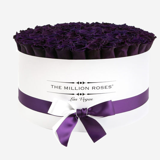 Deluxe White Box | Dark Purple Roses - The Million Roses