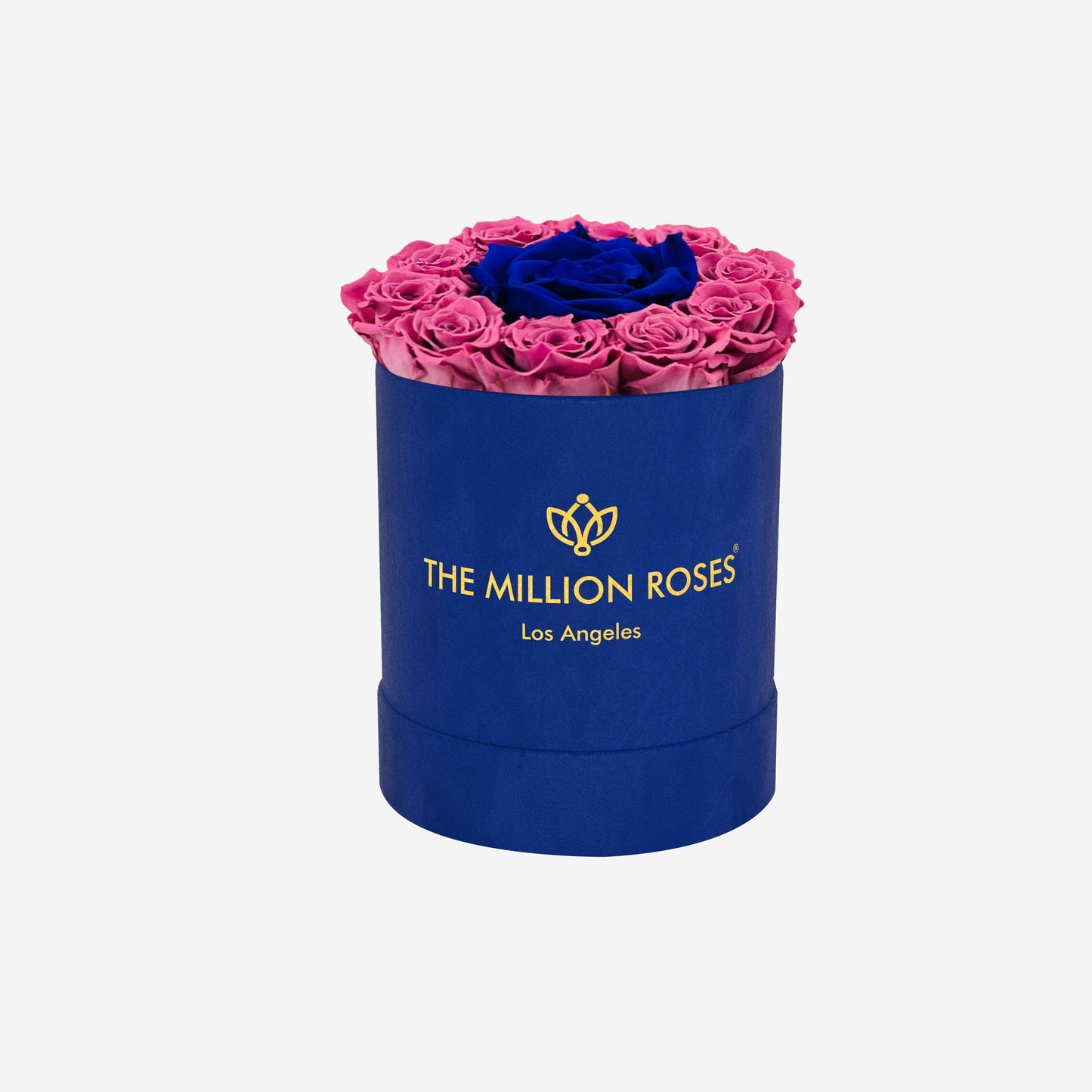Basic Royal Blue Suede Box | Orchid & Royal Blue Mini Roses - The Million Roses