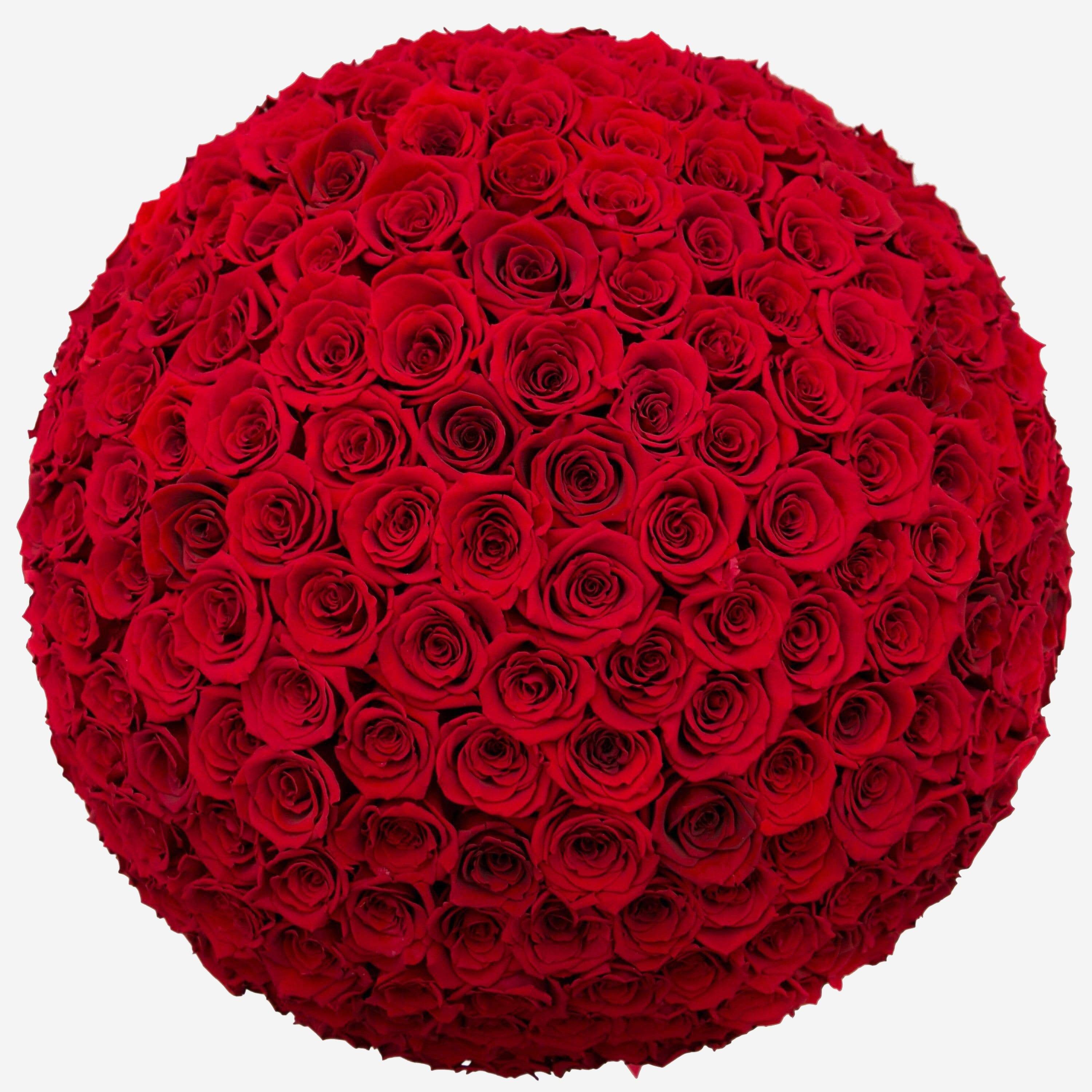 Deluxe White Dome Box | Bright Red Roses - The Million Roses