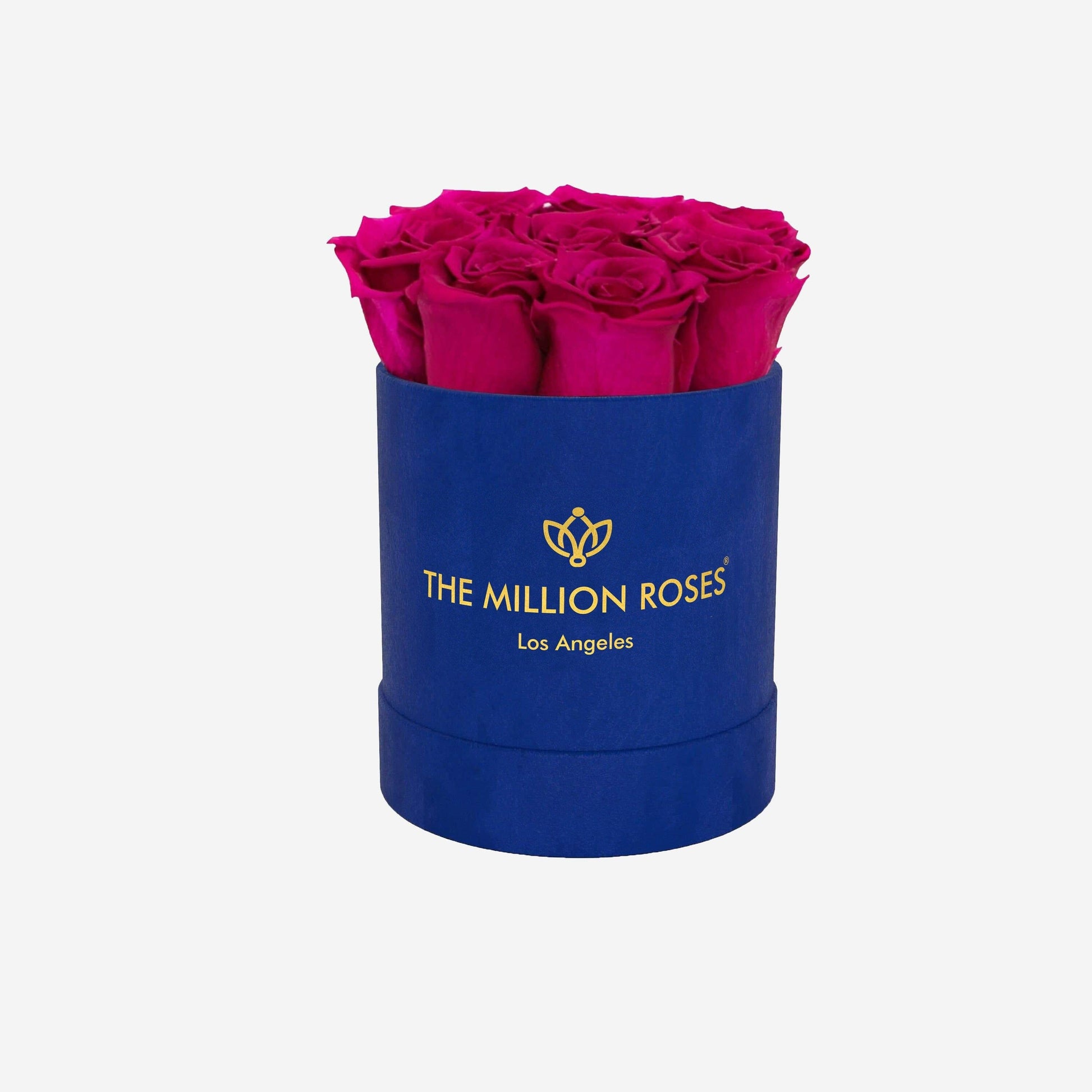 Basic Royal Blue Suede Box | Magenta Roses - The Million Roses