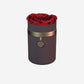 One in a Million™ Round Coffee Box | Charm Edition | Red Rose - The Million Roses