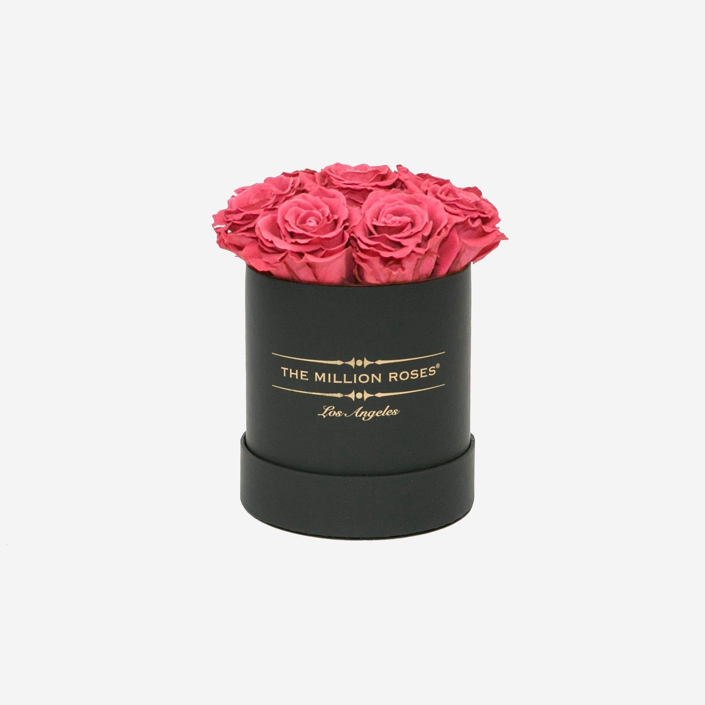 Basic Black Box | Coral Roses - The Million Roses