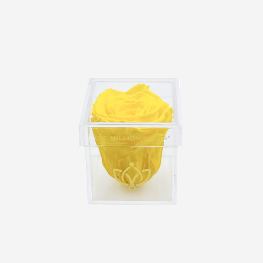 Acrylic Single Box | Yellow Rose - The Million Roses