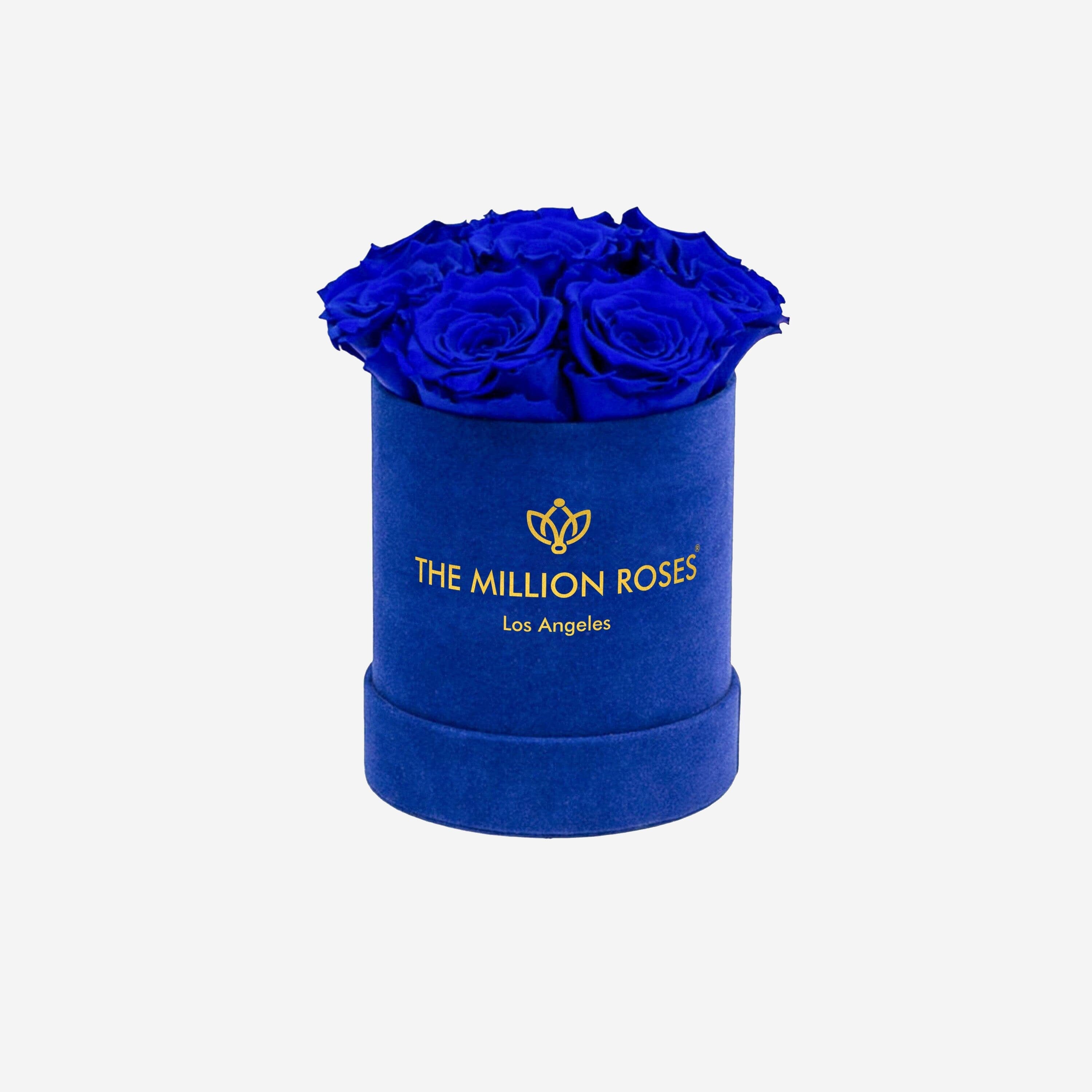 Basic Royal Blue Suede Box | Royal Blue Roses - The Million Roses