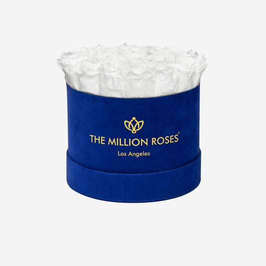 Classic Royal Blue Suede Box | White Roses - The Million Roses