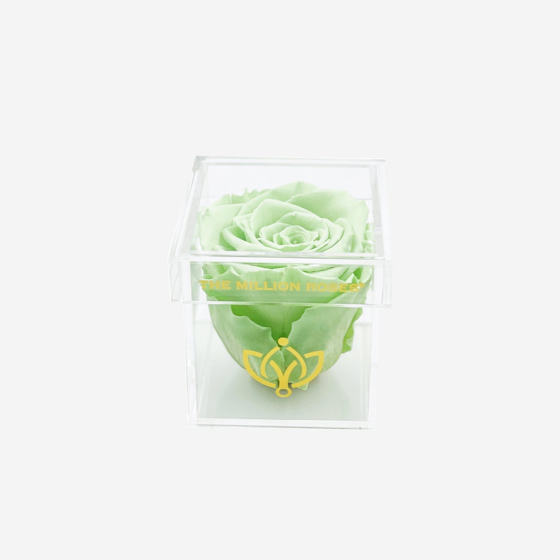 Acrylic Single Box | Mint Green Rose - The Million Roses