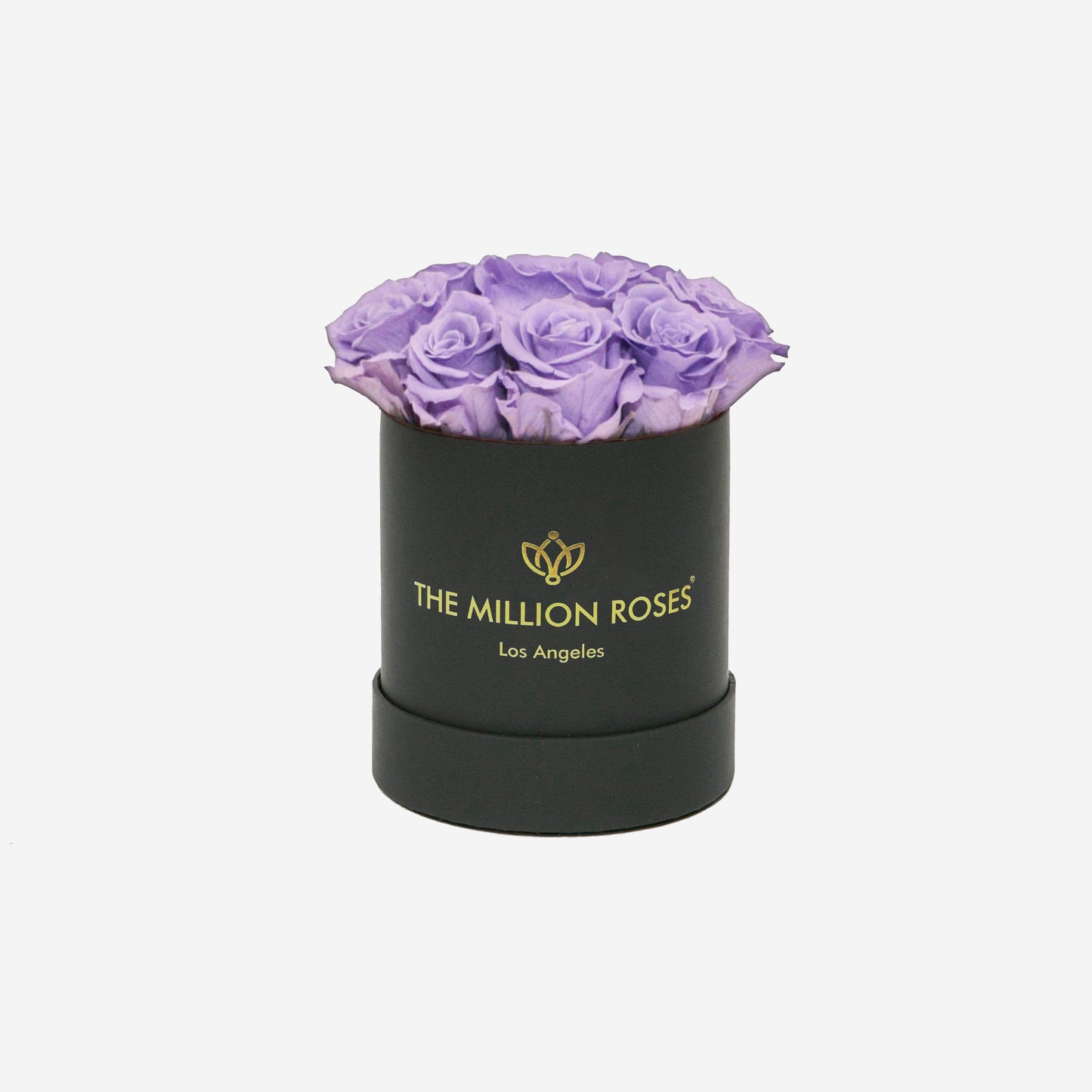 Basic Black Box | Lavender Roses - The Million Roses