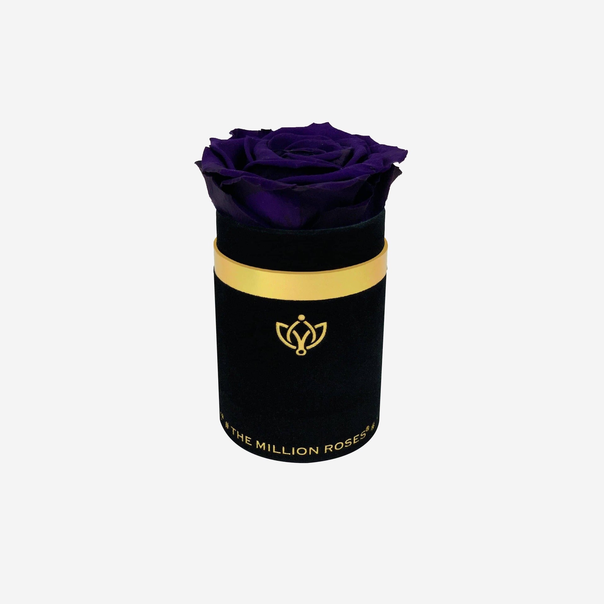 Single Black Suede Box | Dark Purple Rose - The Million Roses
