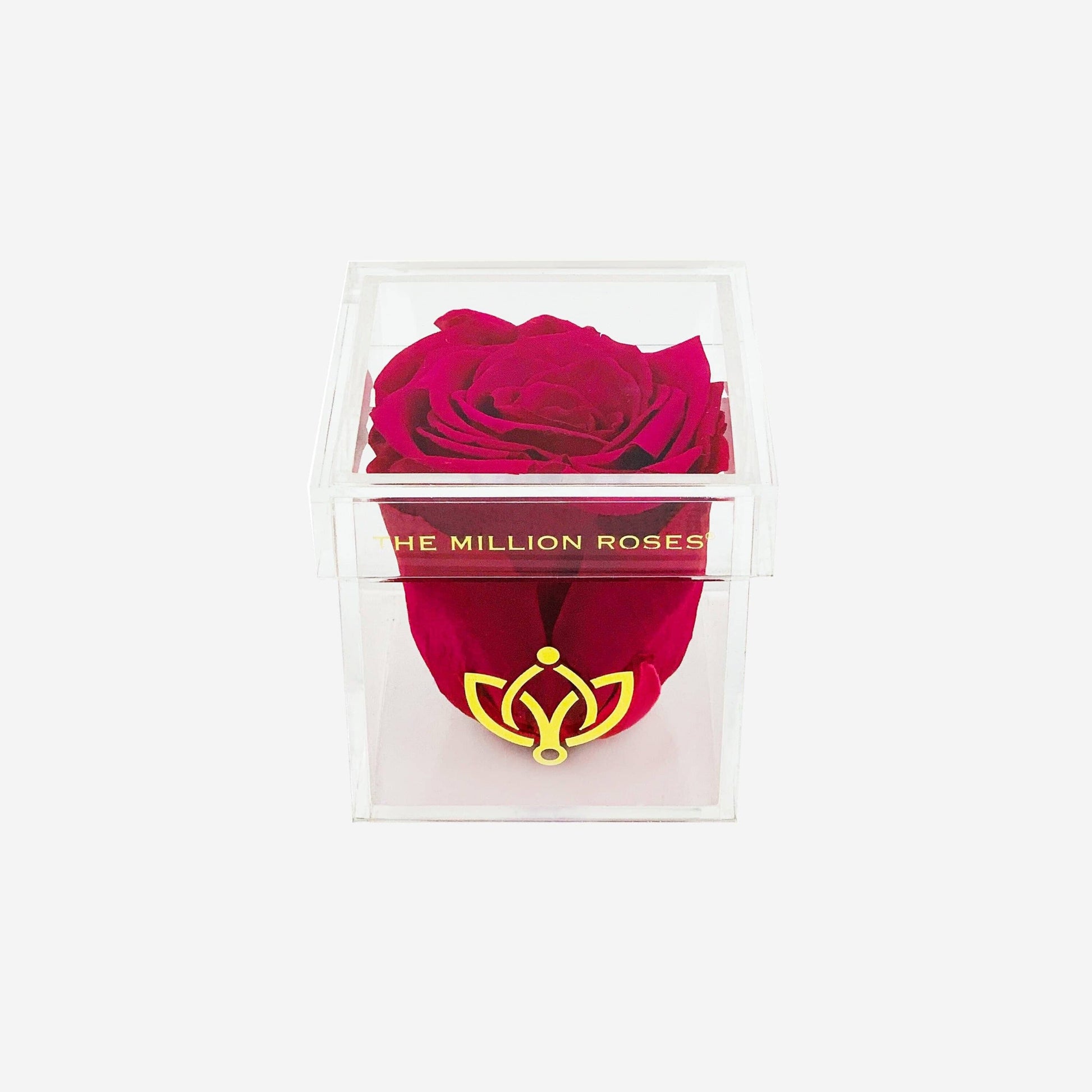 Acrylic Single Box | Magenta Rose - The Million Roses