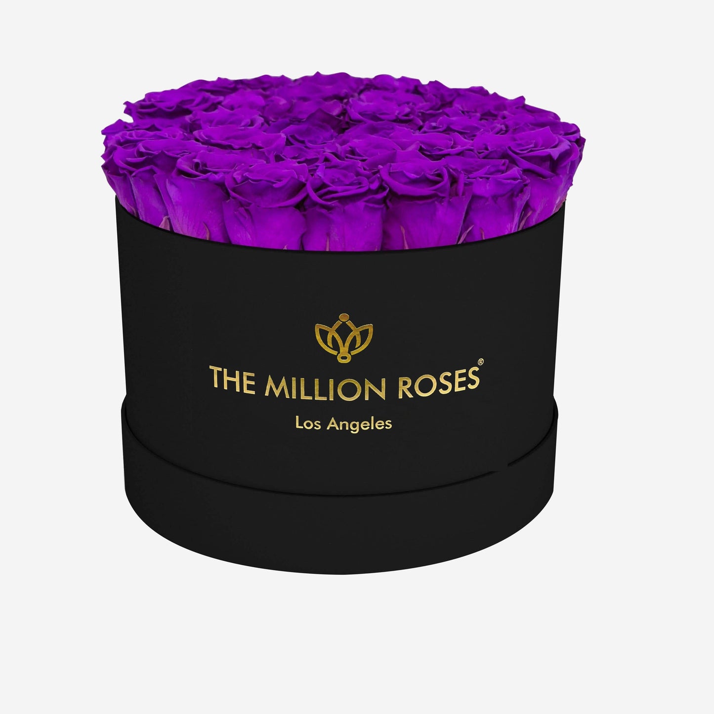 Supreme Black Box | Bright Purple Roses - The Million Roses