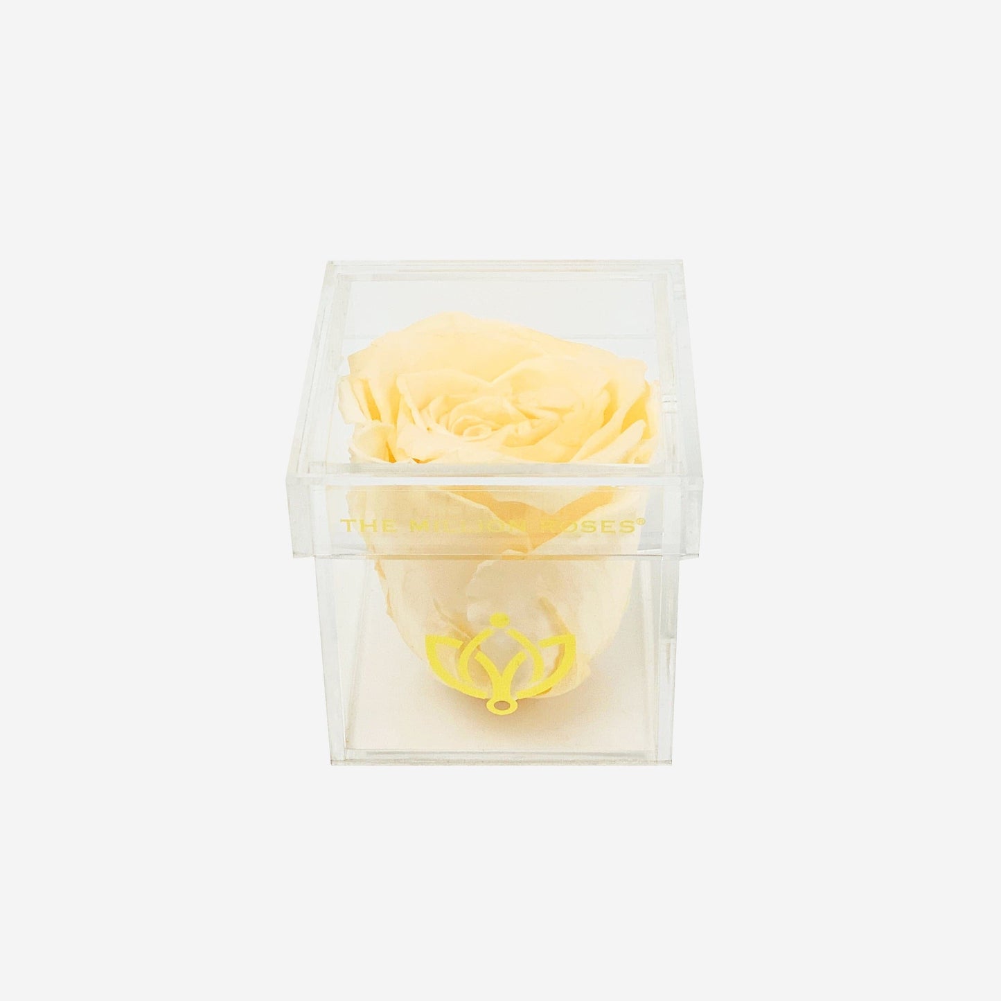 Acrylic Single Box | Ivory Rose - The Million Roses