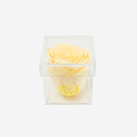 Acrylic Single Box | Ivory Rose - The Million Roses