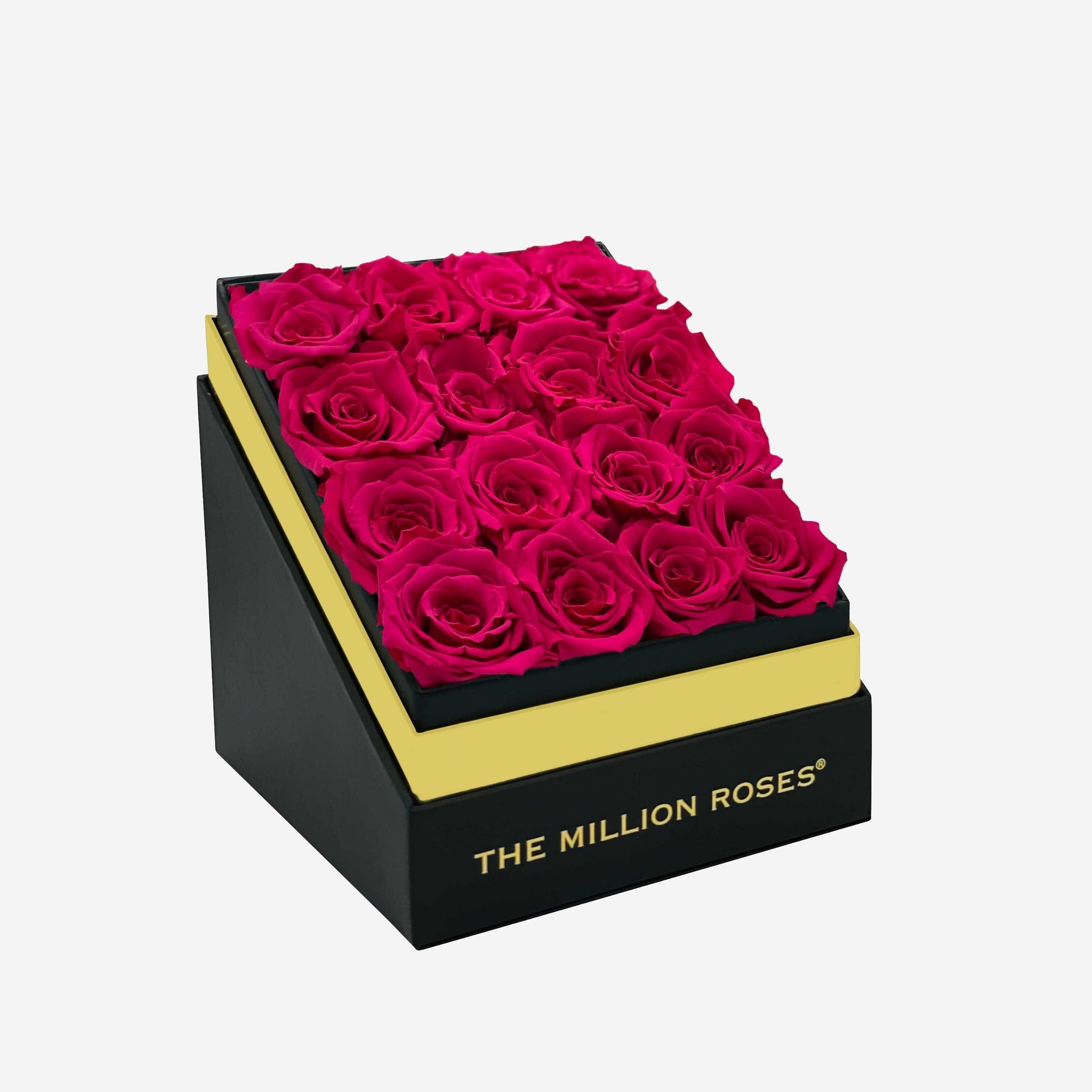Square Black Box | Hot Pink Roses - The Million Roses