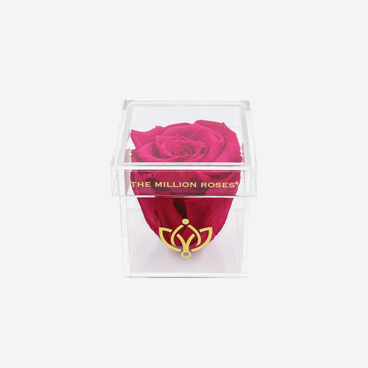 Acrylic Single Box | Hot Pink Rose - The Million Roses