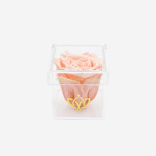 Acrylic Single Box | Peach Rose - The Million Roses