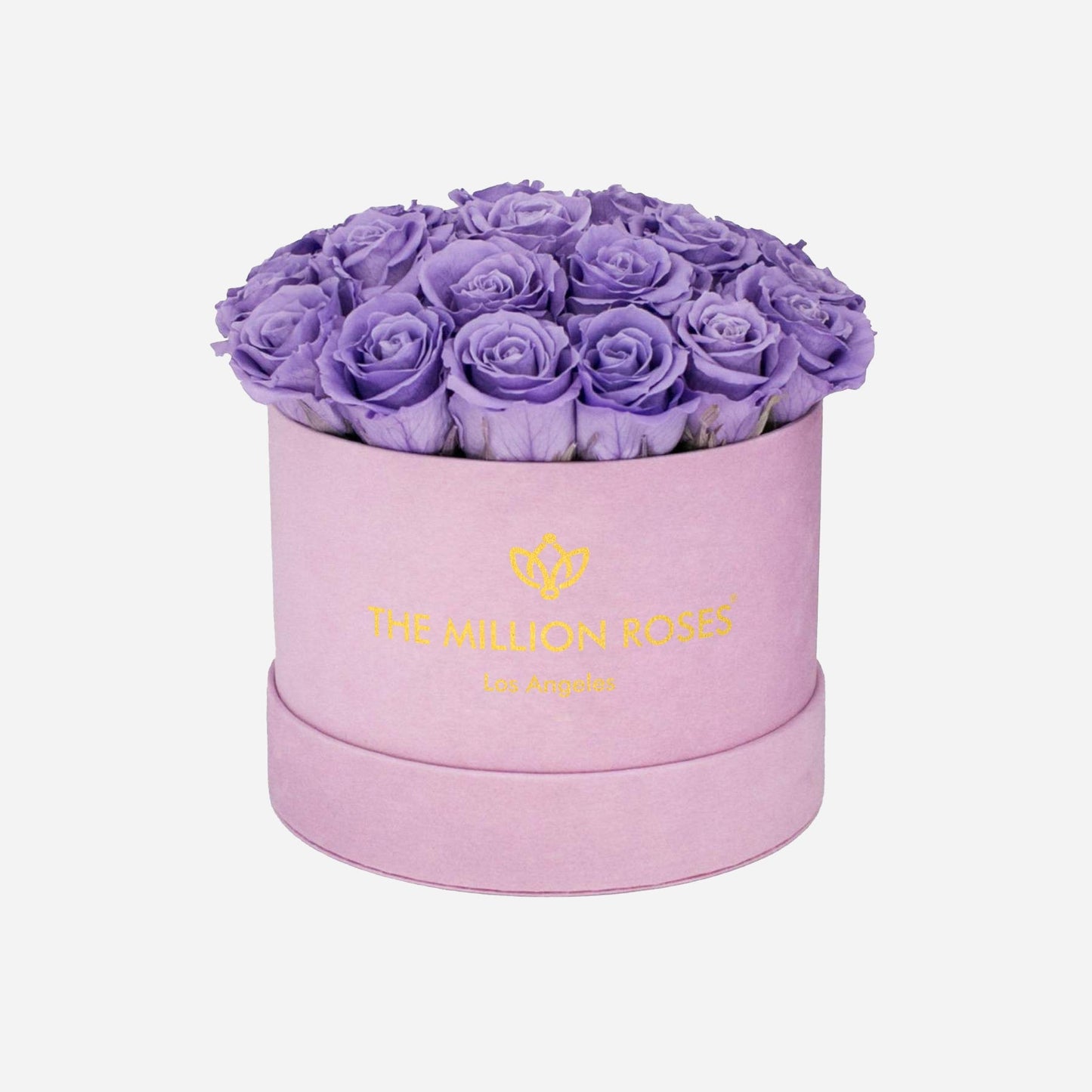 Classic Light Pink Suede Dome Box | Violet Roses - The Million Roses