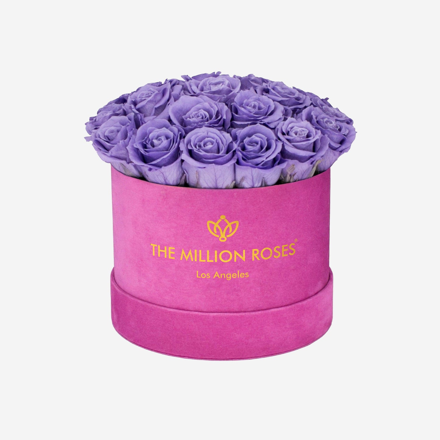 Classic Dome Hot Pink Suede Dome Box | Violet Roses - The Million Roses