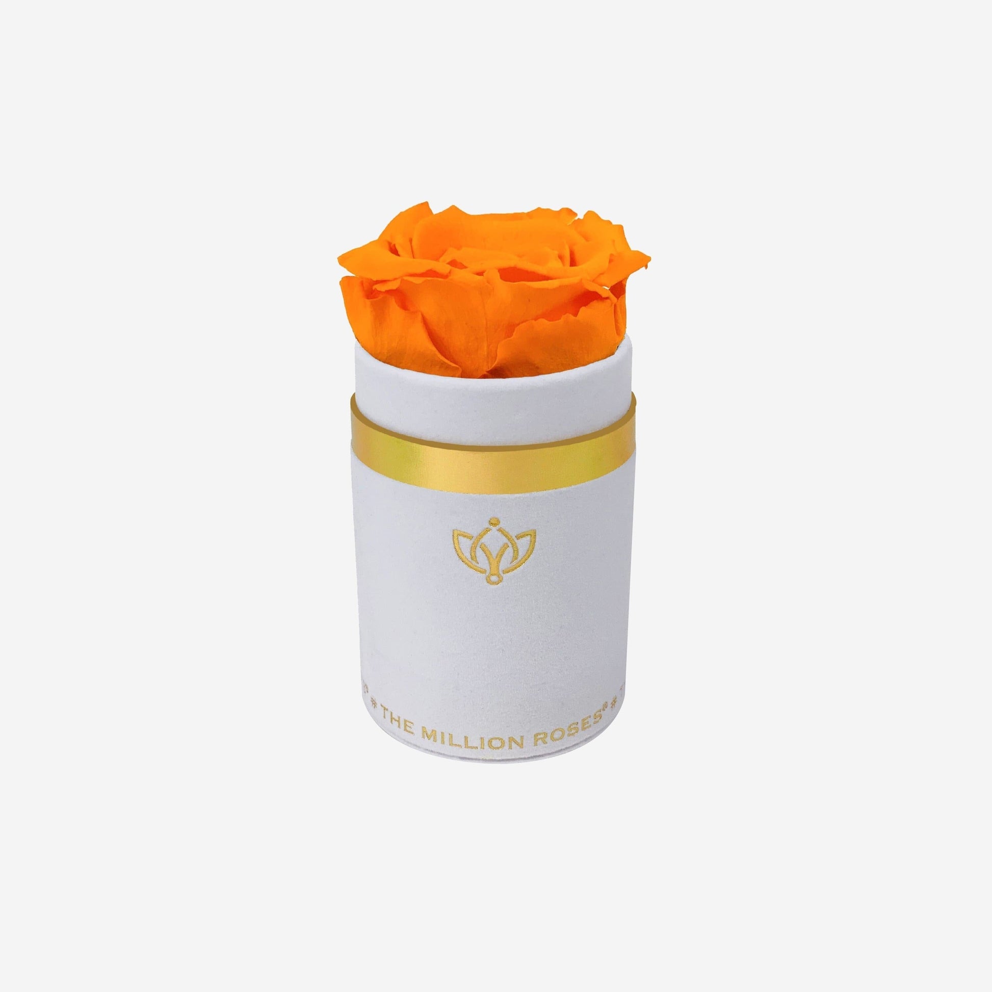 Single White Suede Box | Orange Rose - The Million Roses