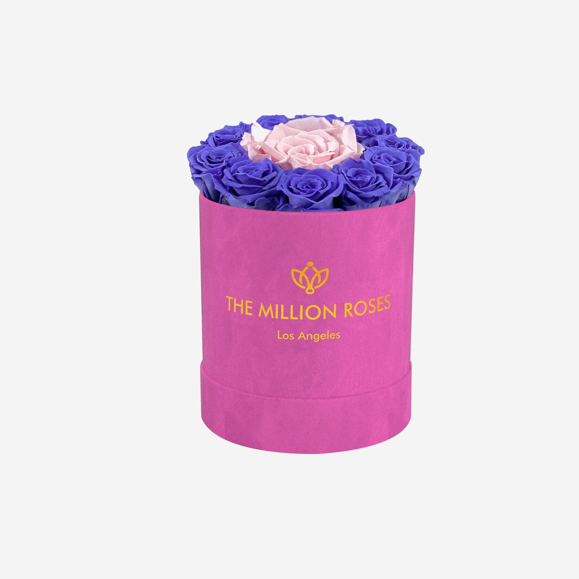 Basic Hot Pink Suede Box | Violet & Light Pink Mini Roses - The Million Roses