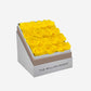 Square White Box | Yellow Roses - The Million Roses